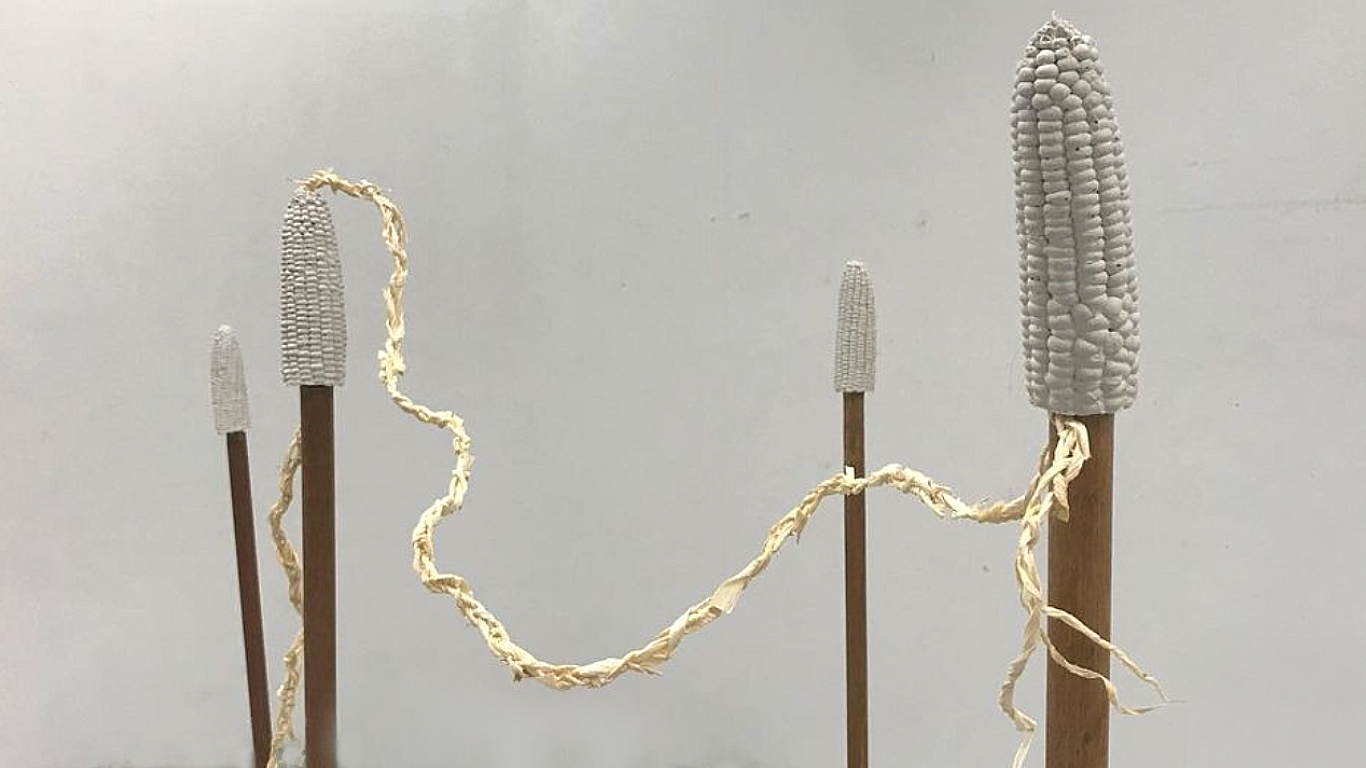 Ma&iacute;z Fantasma, 2021