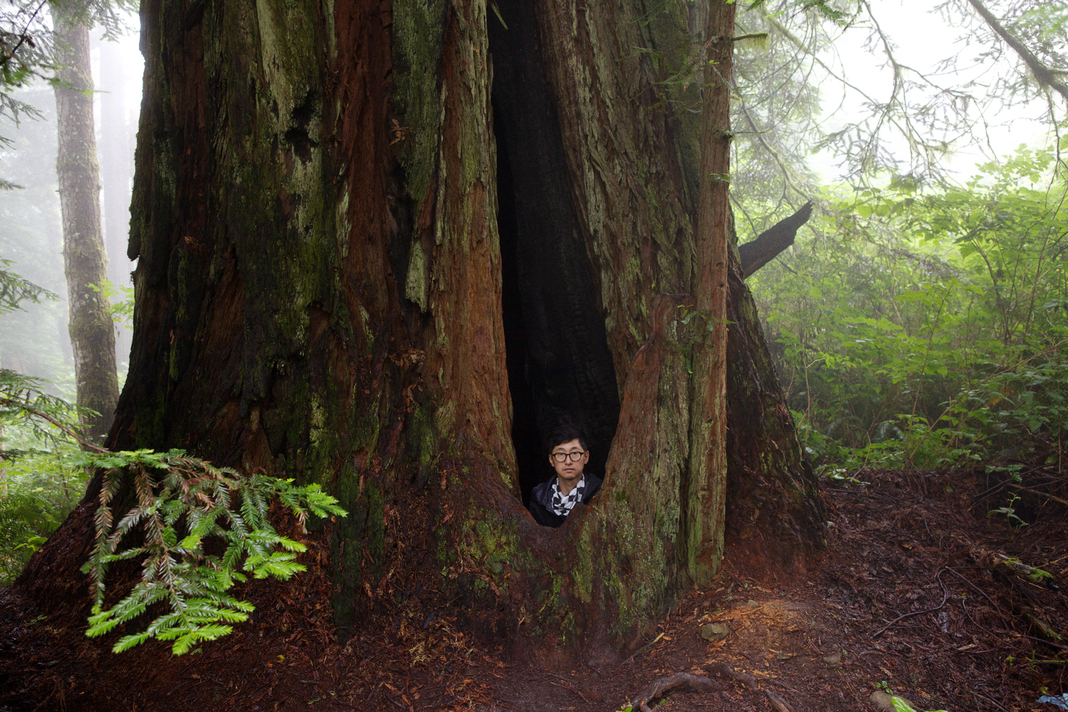 birth, photograph 2014