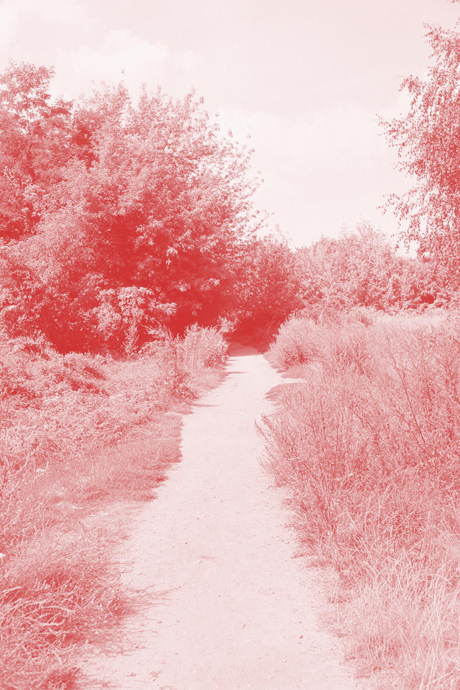 UNIVERSEL, solo show,  Contretype, Brussels (BE), 2010.