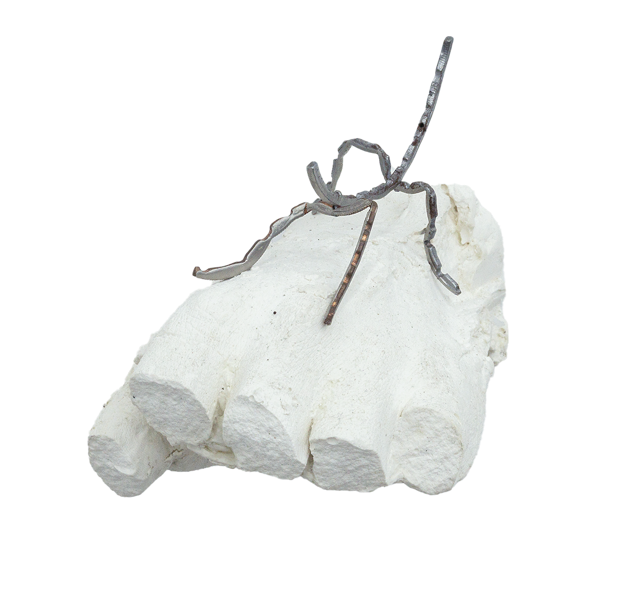 Mar&iacute;a Fierrito Ecuadorian half-dollar coin, two USD half-dollar coins, plaster, galvanized steel screw, wire