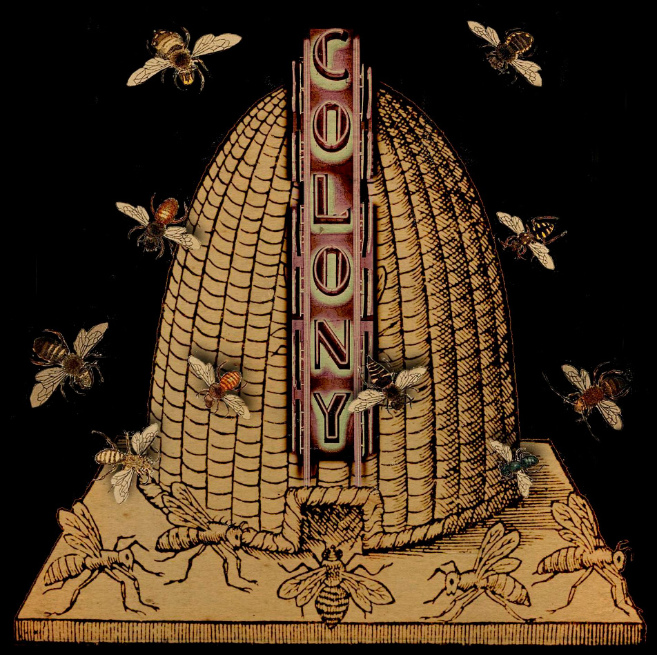 sarahperkinsillustration