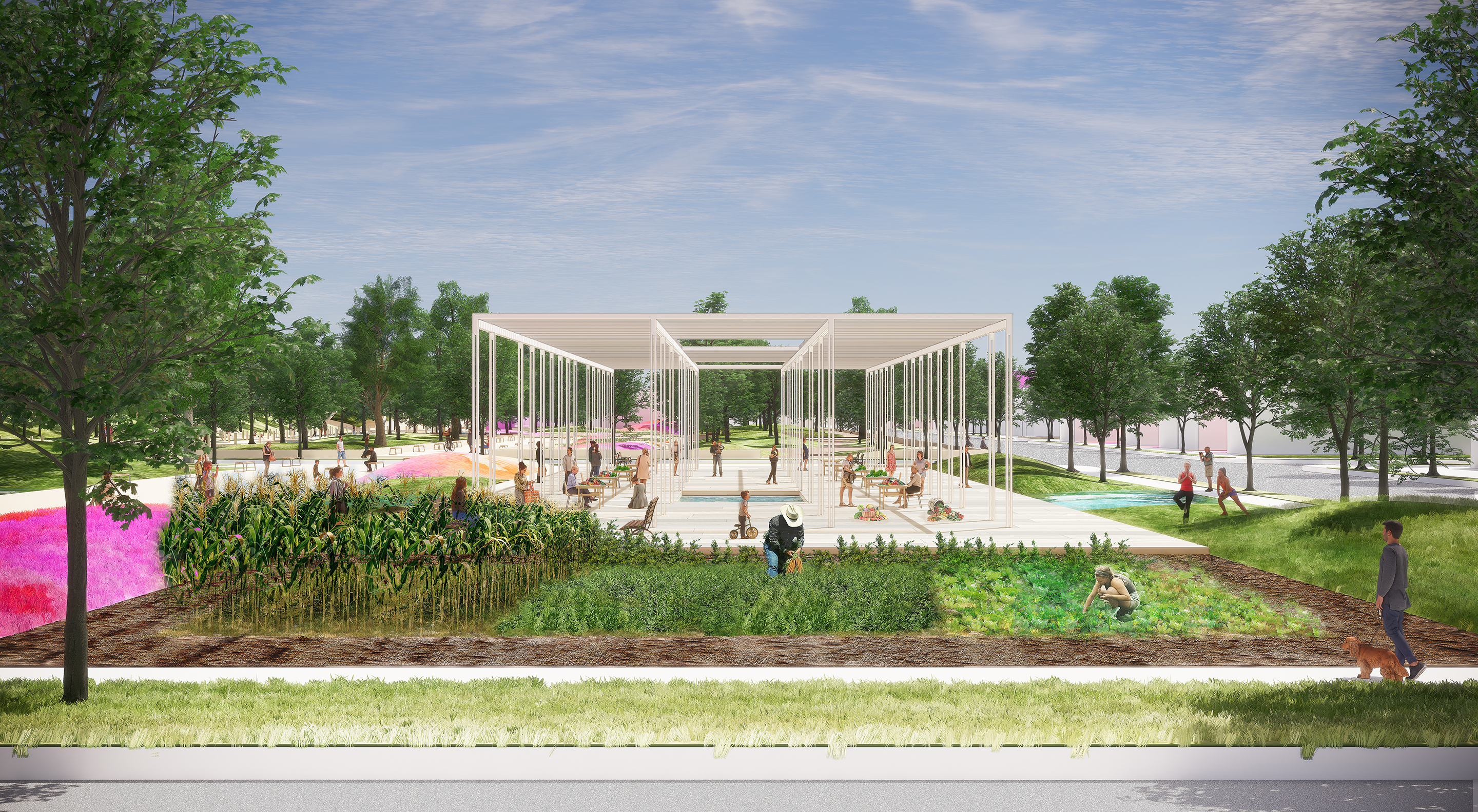 Pop Up Market, Seong Cheol Kim, Englewood-Chicago, Spring 2020