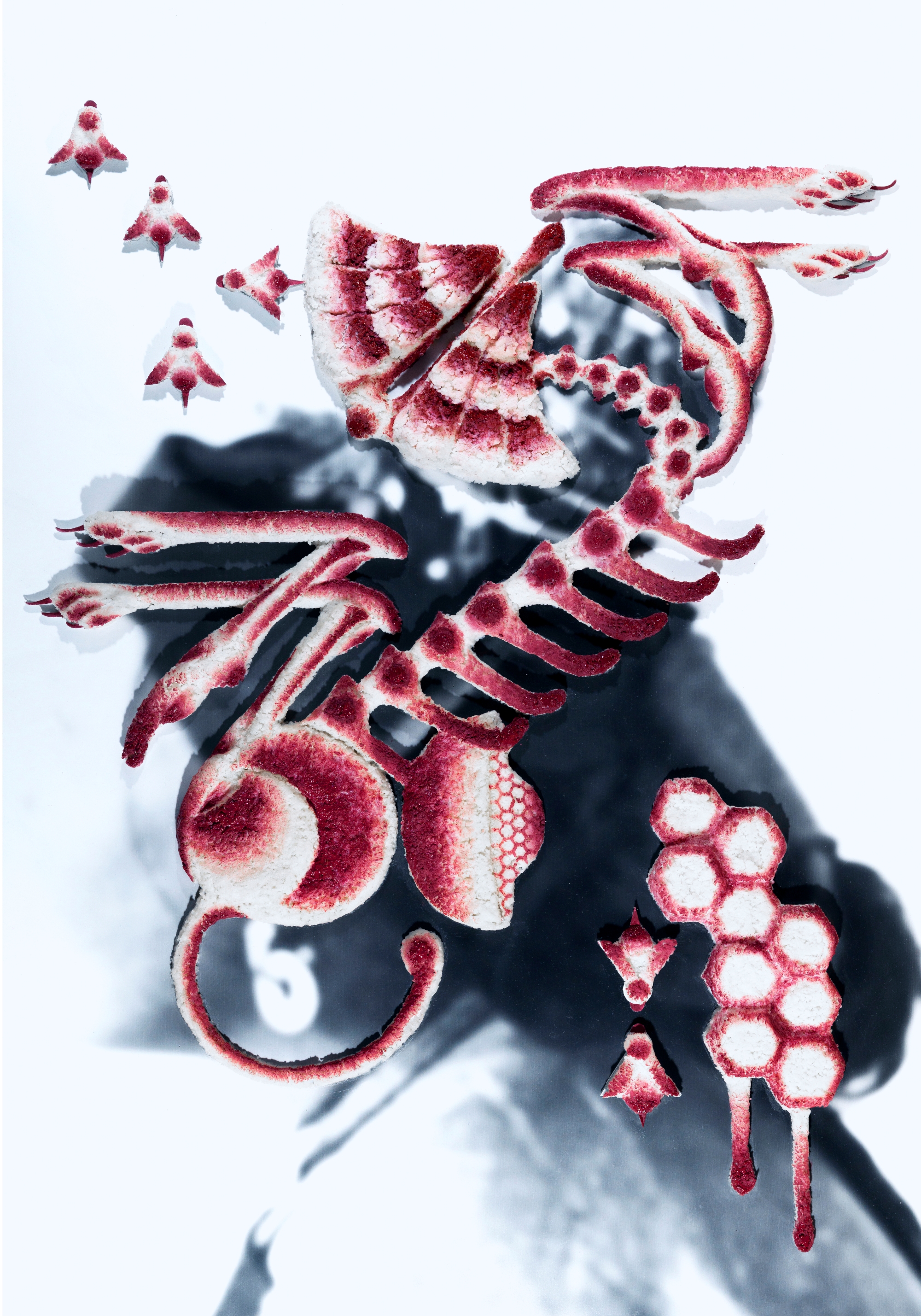 Samson's Lion #3. Photograph of Image Overpainted with Rice and Ink. 70*100 cm. 2025. Hahnem&uuml;hle German Etching Mounted on Aluminum. Floating Frame.