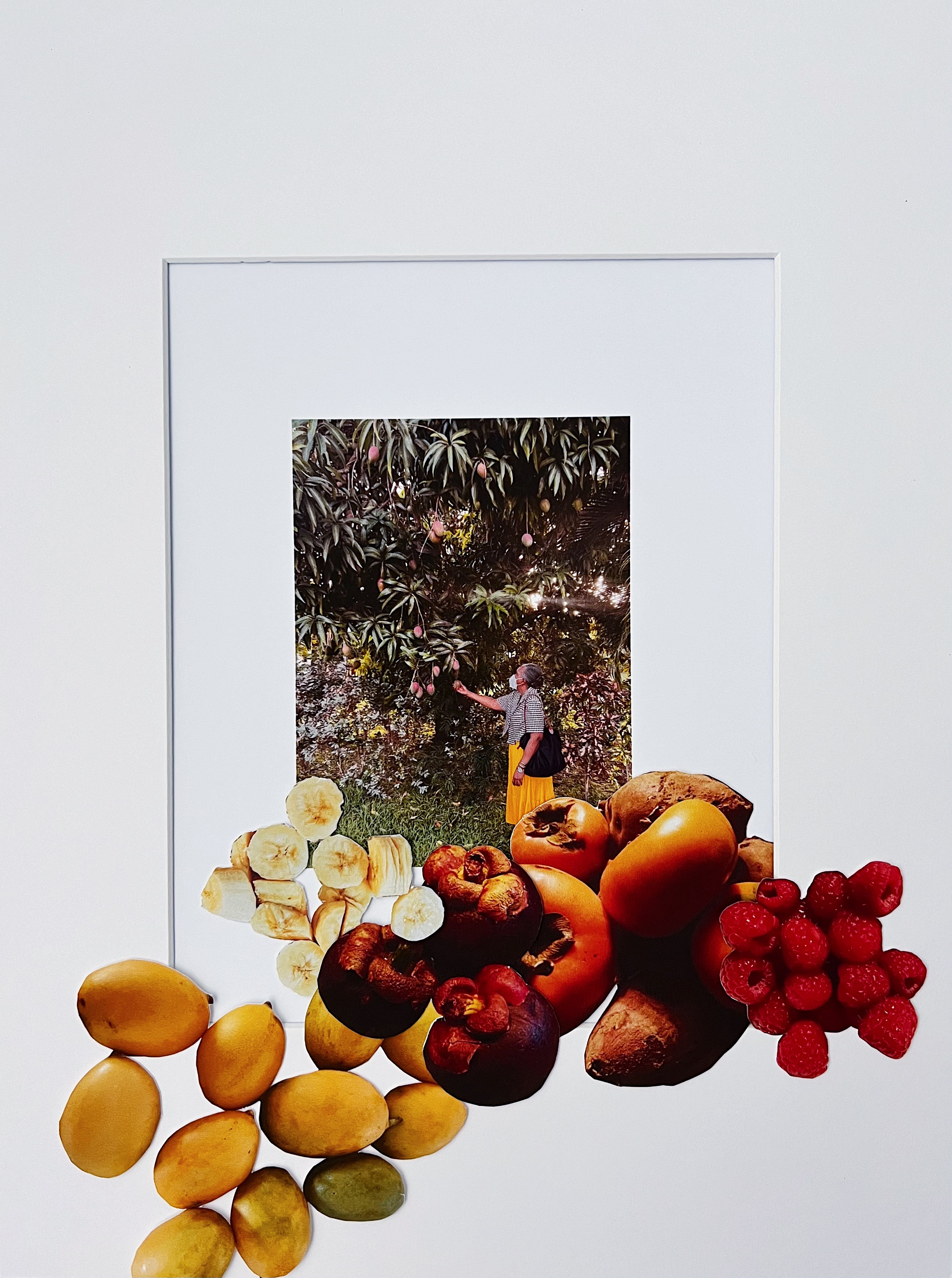 The collage series consists of photo submissions from the public, the artist’s family archive, and found historical images