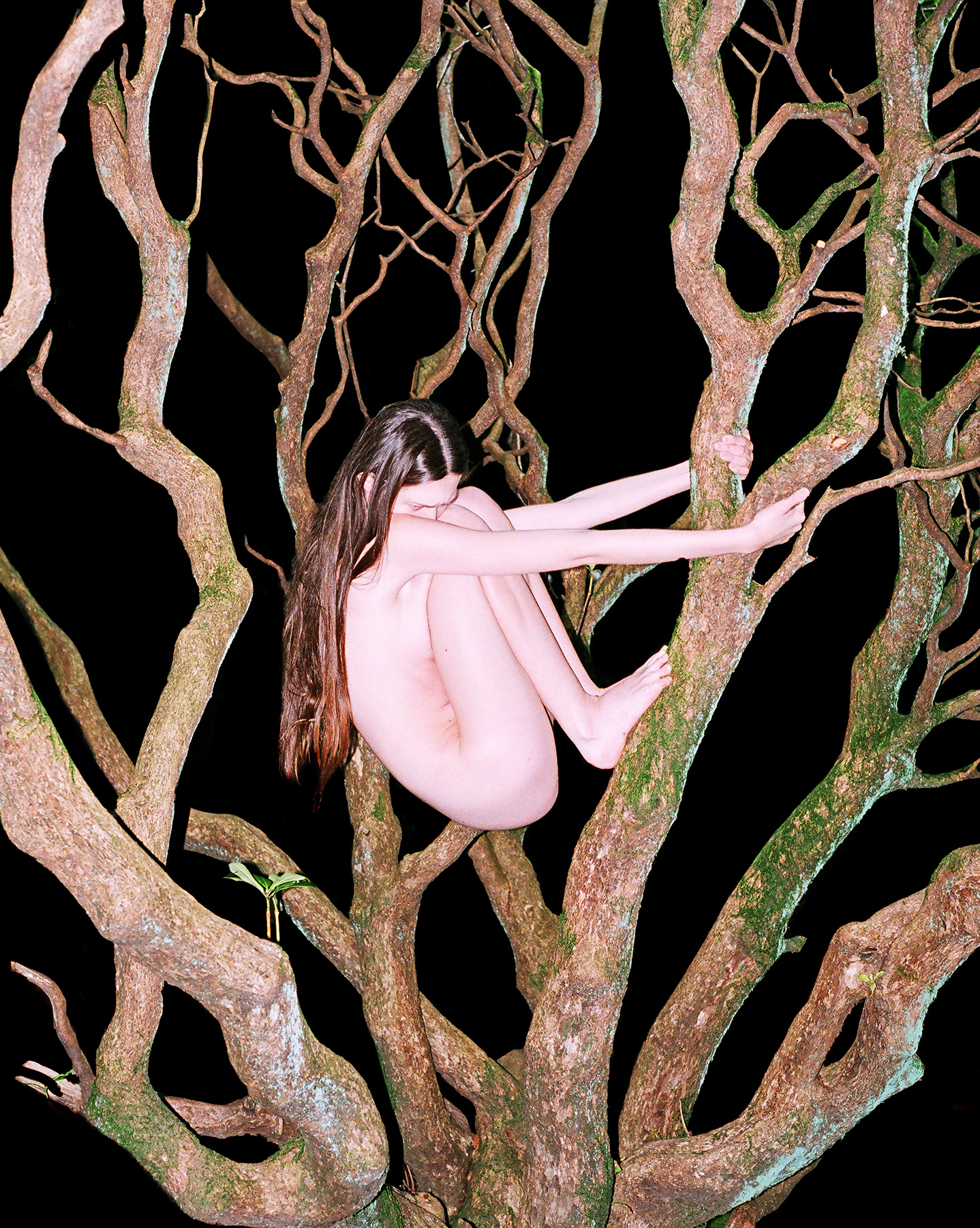 2) 24x30cm 260&euro; / 36x45cm 310&euro; / 48x60cm 390&euro; edition of 12 +1AP in each size