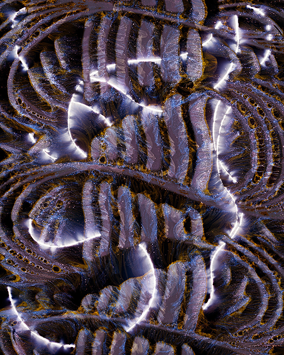 To Pull an Eyelid #82024Light drawing and tampered negative, archival pigment print, 40 x 32 inches