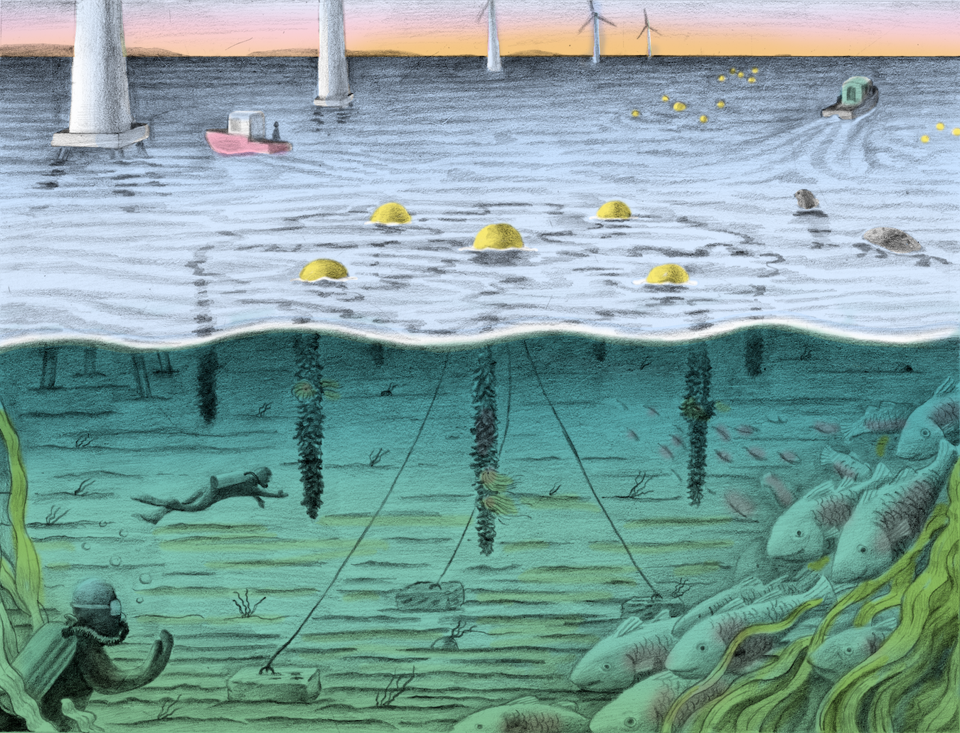 Visualization for SCUP Aquaculture of a multipurpose mussel farming structure. 