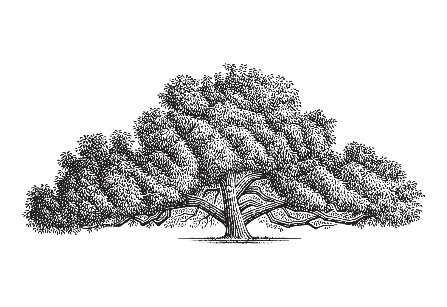 Responsive logo mark for Houston Oaks