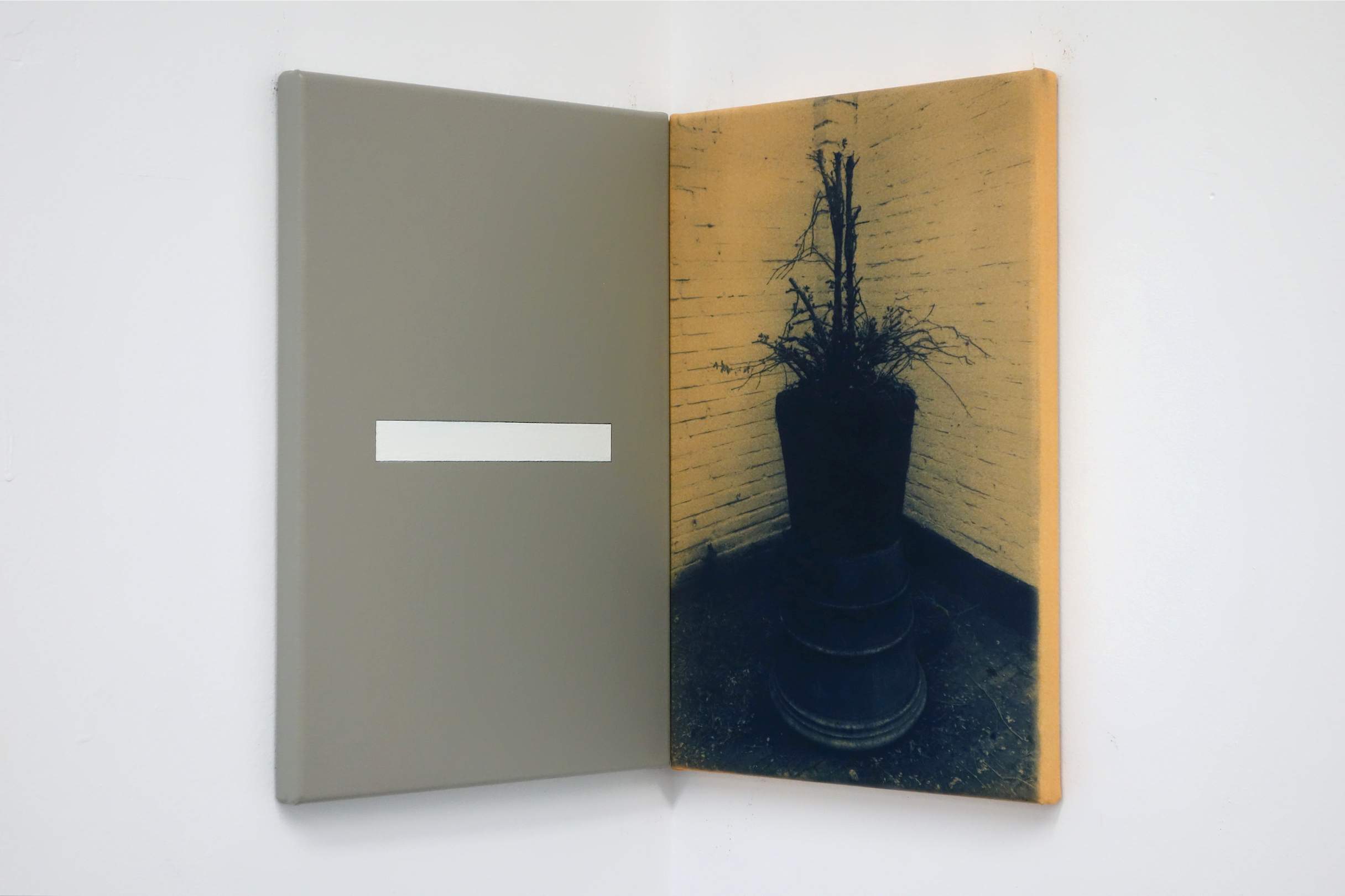 Untitled 2014, cyanotype, acrylic and alkyd on canvas, 36 x 50 cm