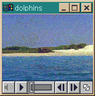 MY CV/RESUME IS HERE!!!