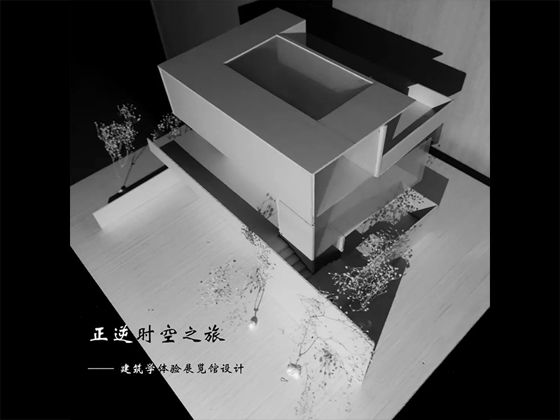 正逆时空之旅一年级