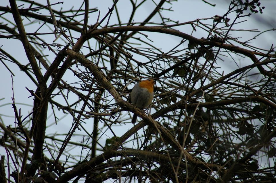 21.03.2012, Servis dönüşü