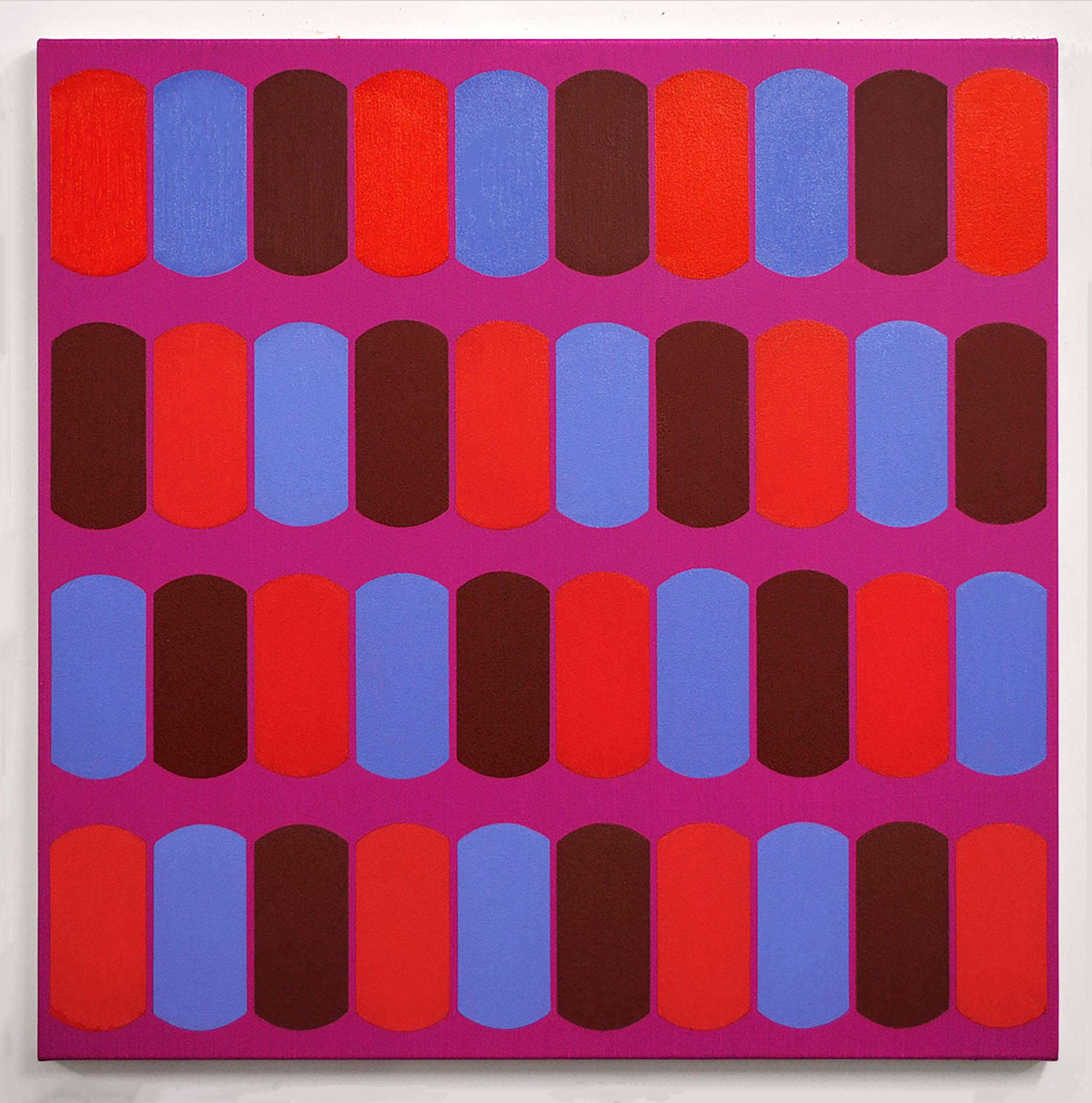 Scuta XI 61cm x 61cm oil and acrylic on canvas 2014