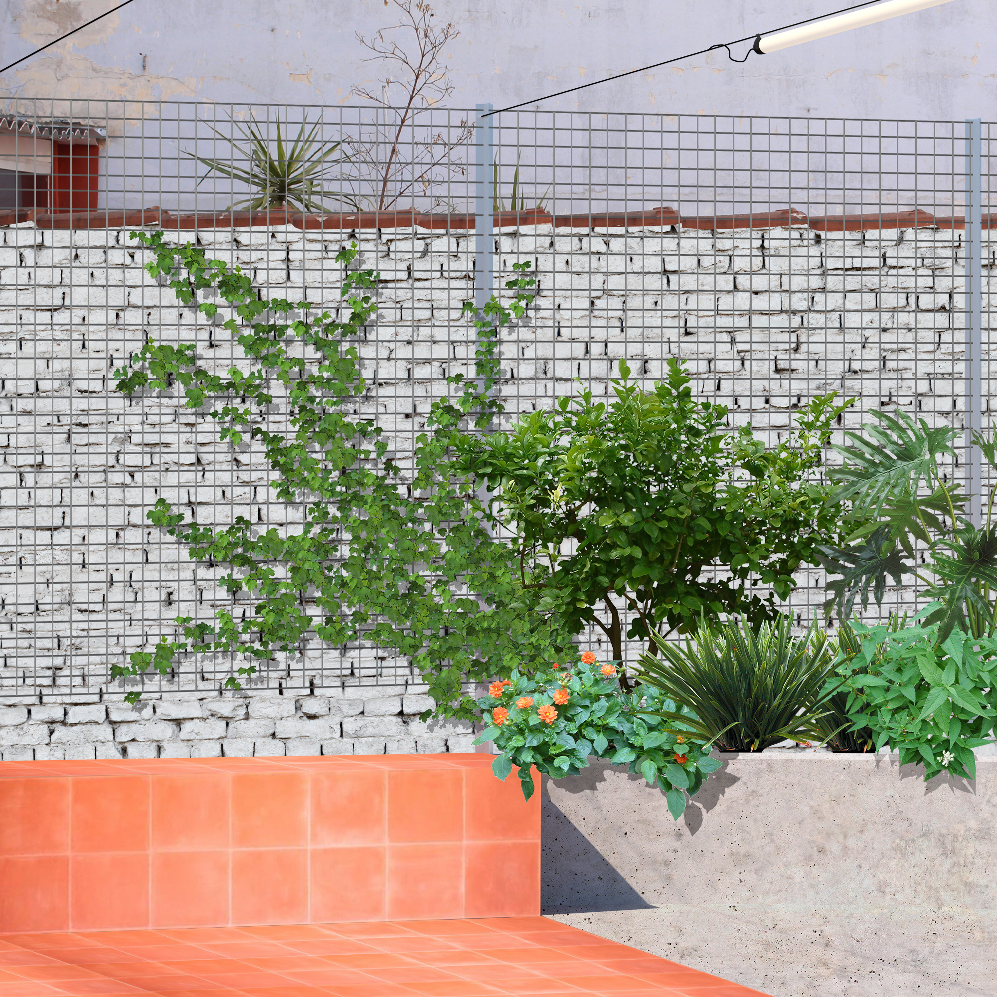 Terraço  São Paulo, Brasil, 2023. Projeto não construído.  2/2