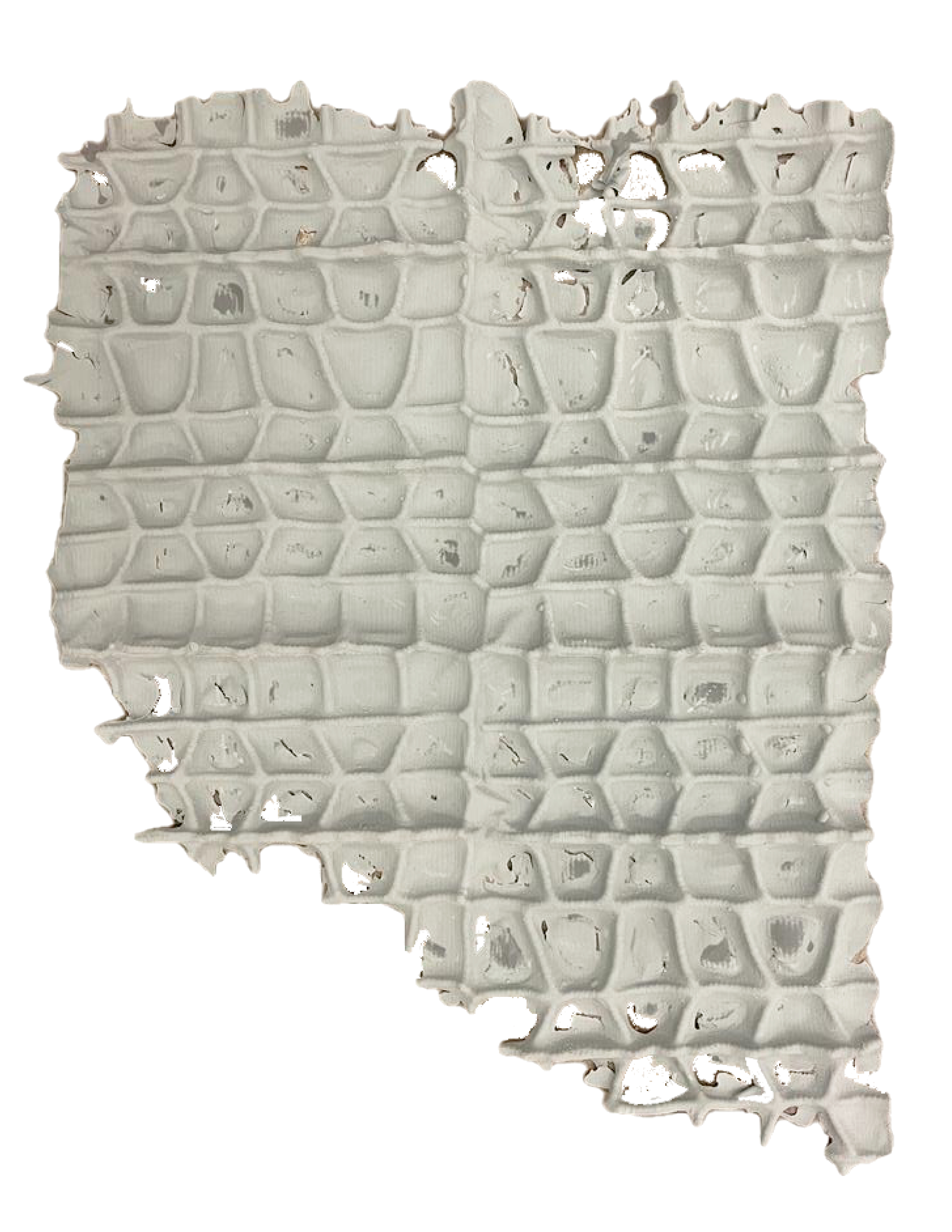 final silicone sample