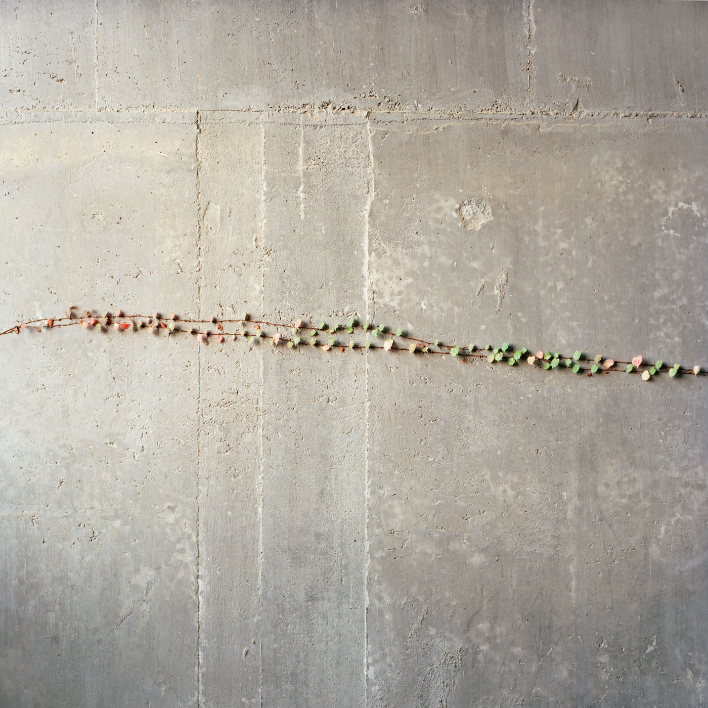Hong Kong Construction Site I, 2013