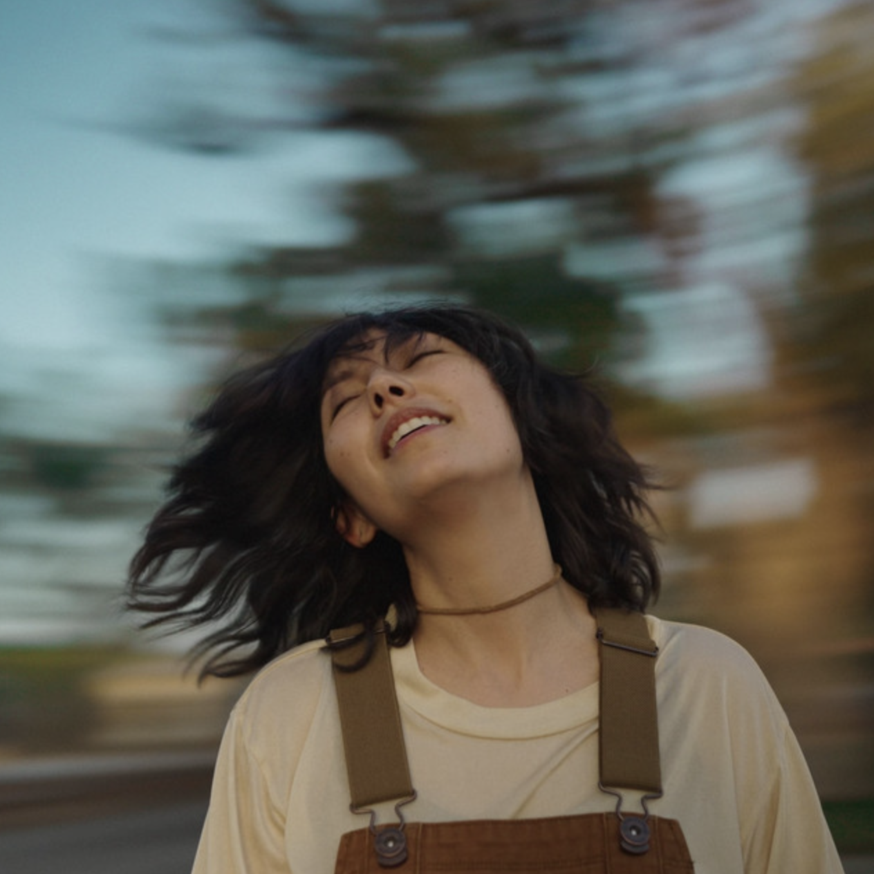 Seasonal Optimism / Steady Holiday