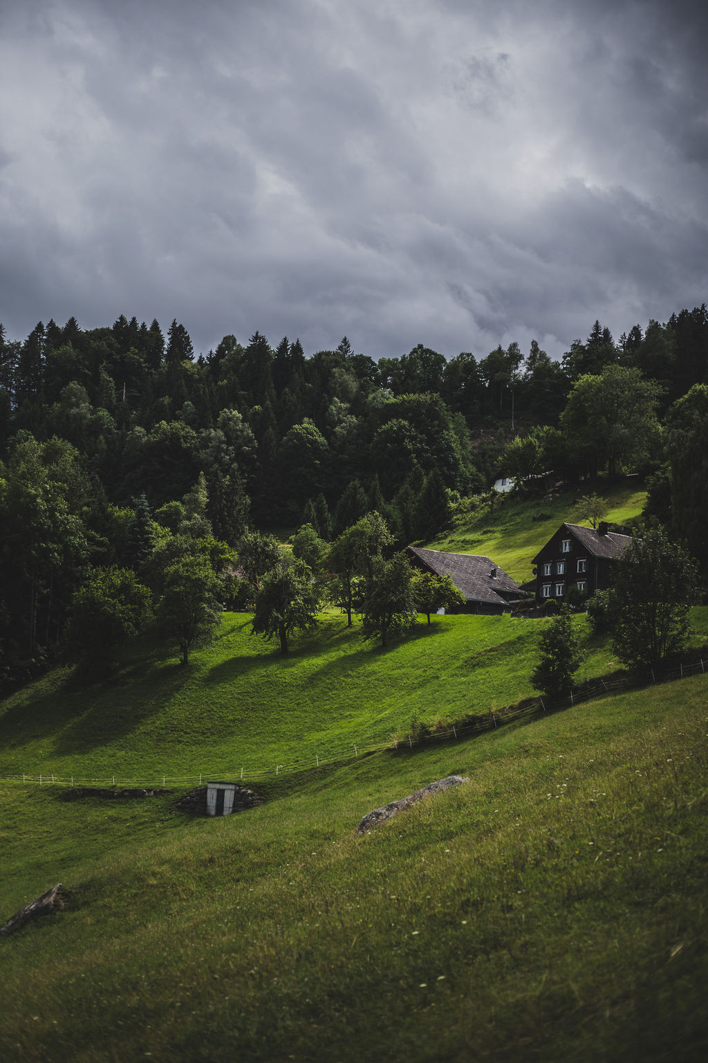 KR&Auml;UTERWERKSTATT AM B&Uuml;RSERBERG