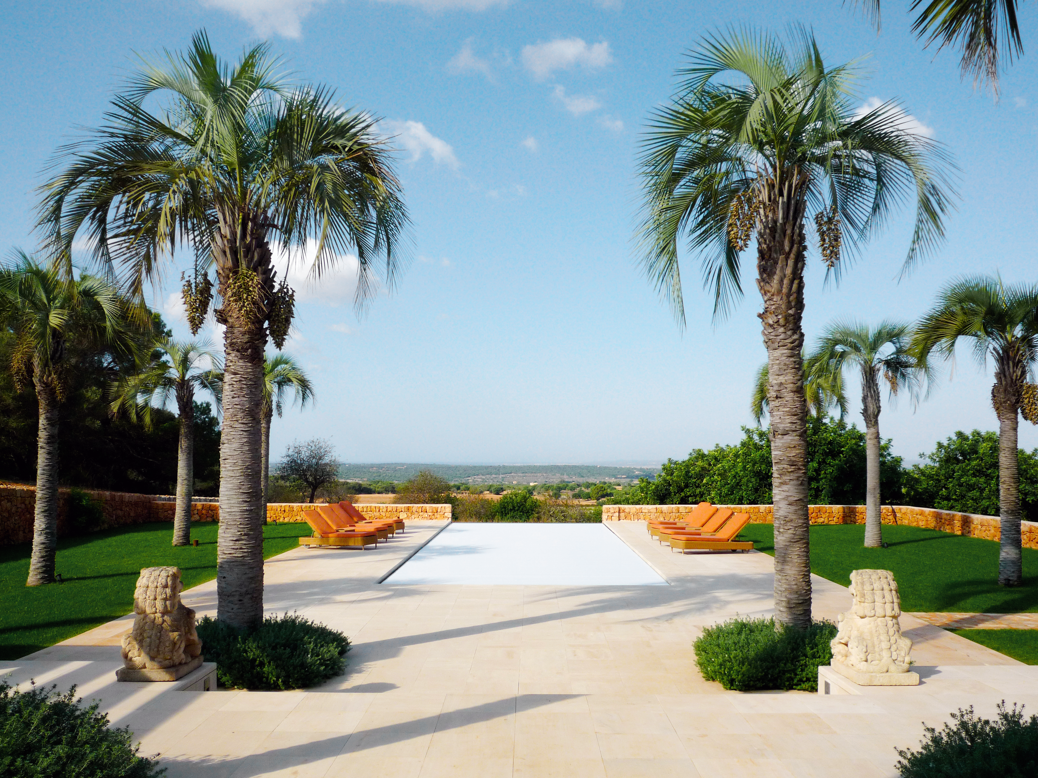 Blick in den Garten.