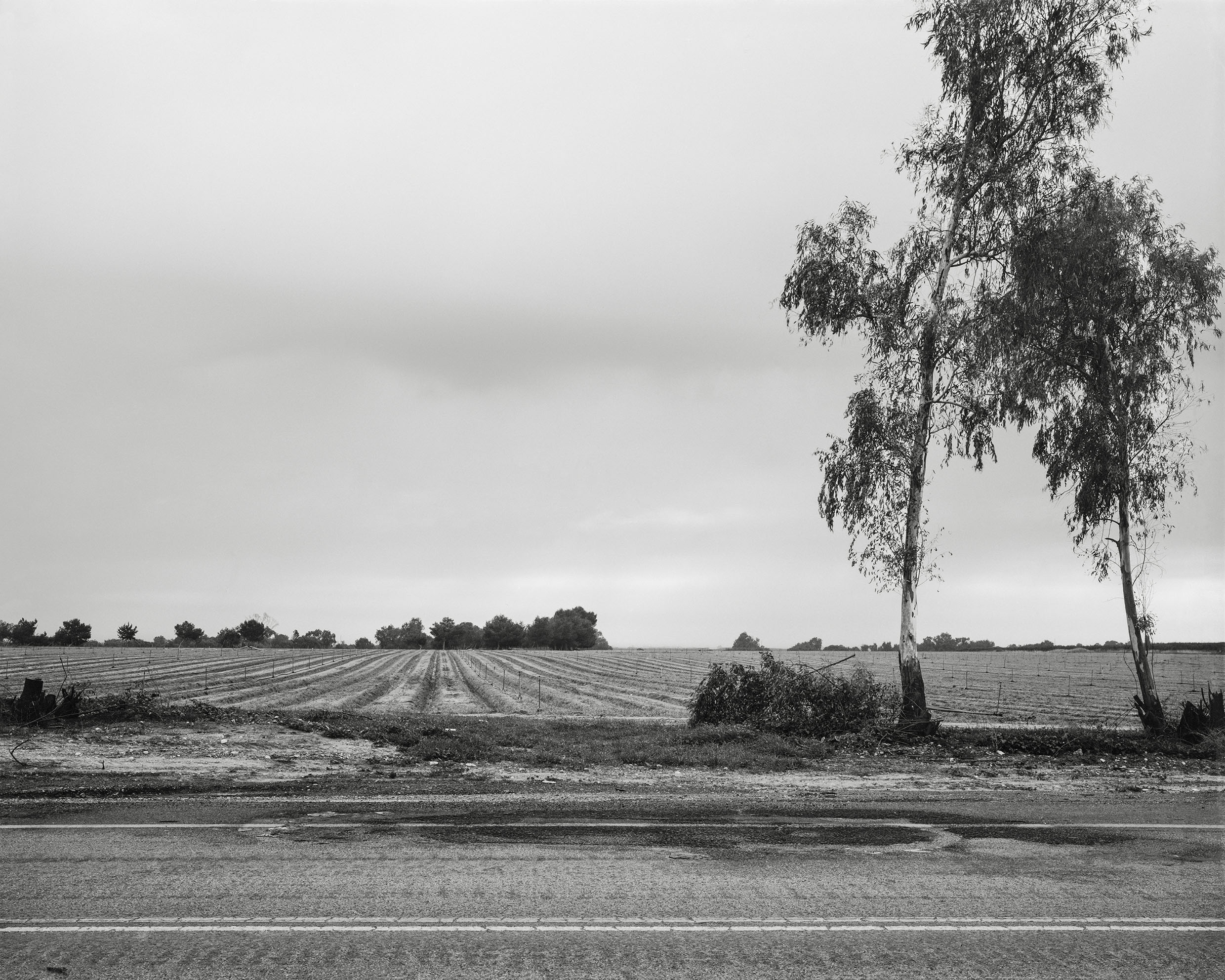 Highway 232, 2023, Inkjet print, 33.6.5x42 cm