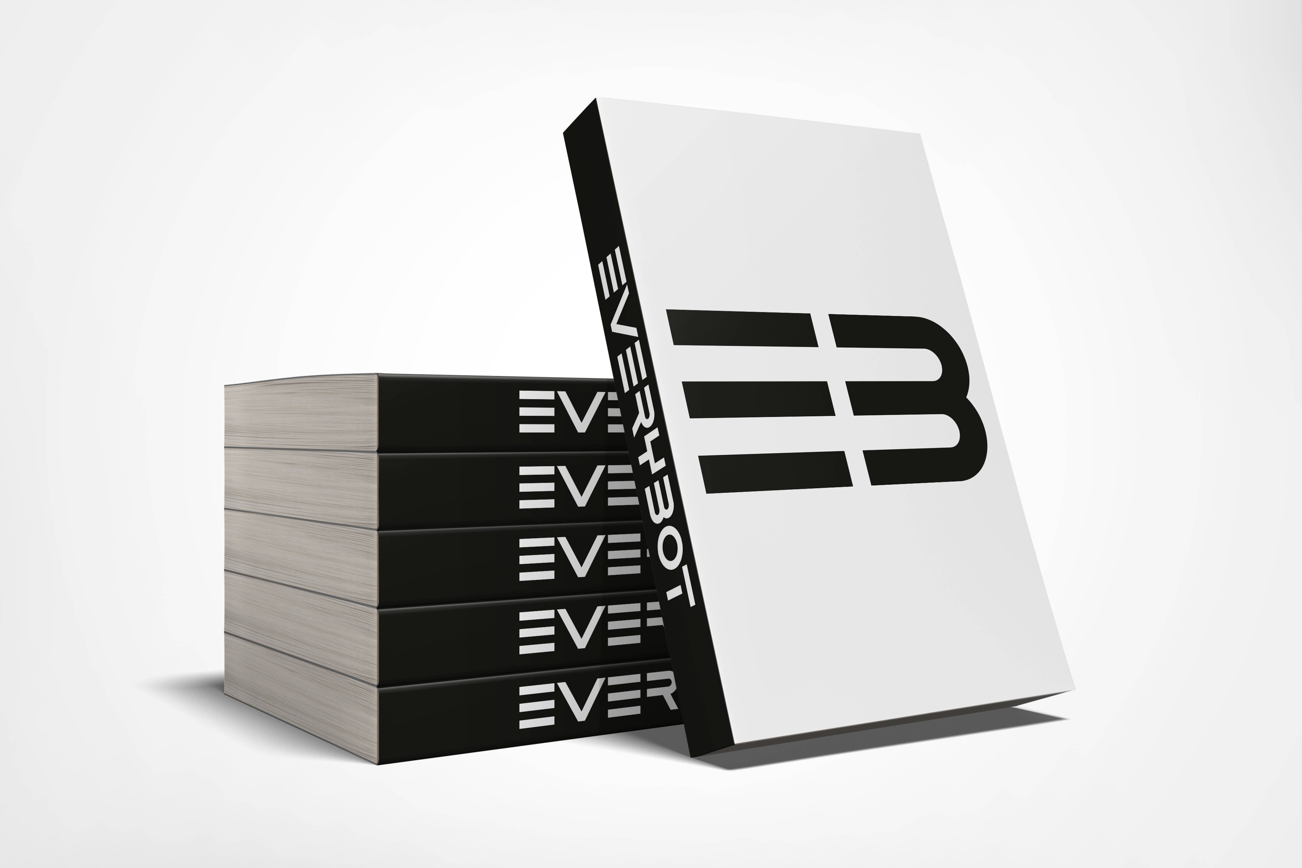 Everybot Visual identity — vadesign2