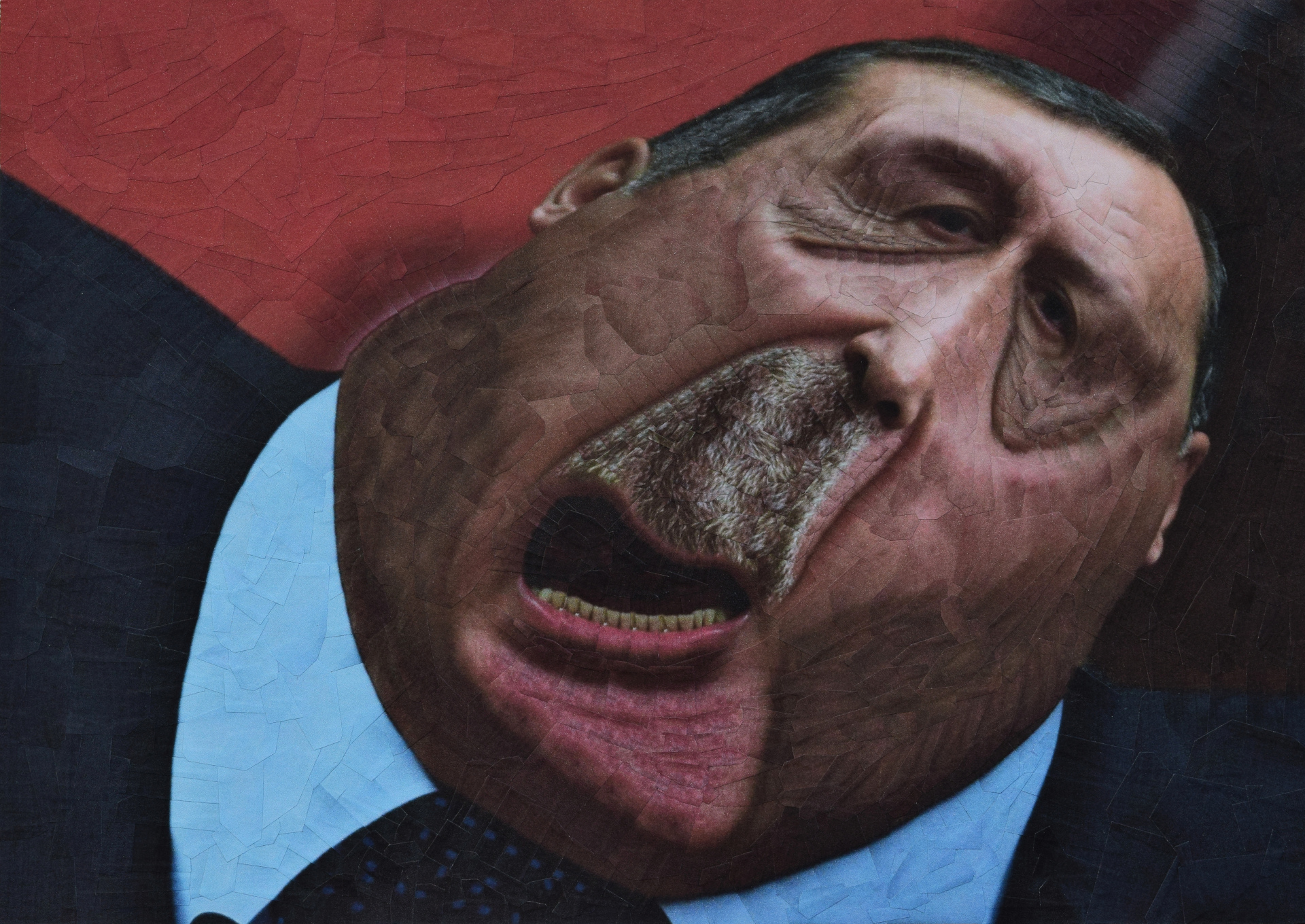 Erdogan, 2017, 11.6 x 8.2 inches