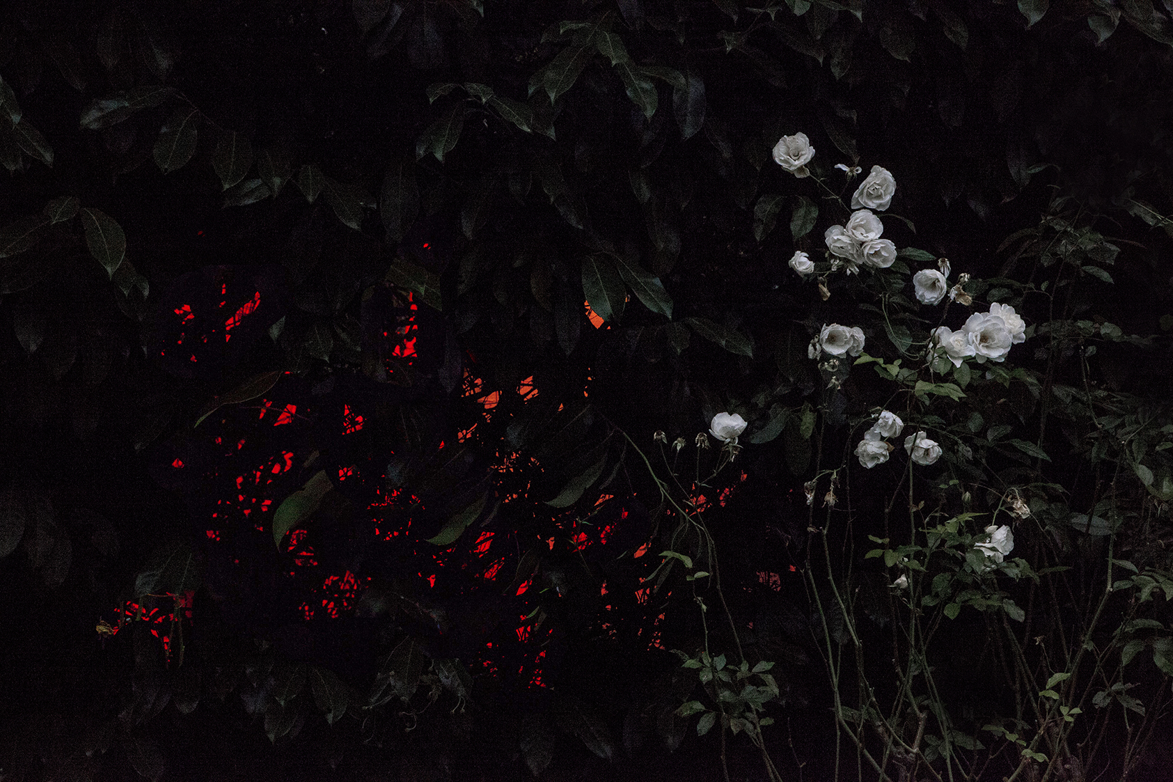 PHOTOGRAPHY RAF STUDIO LOVE SONG DIDIER FAUSTINO ARCHITECT