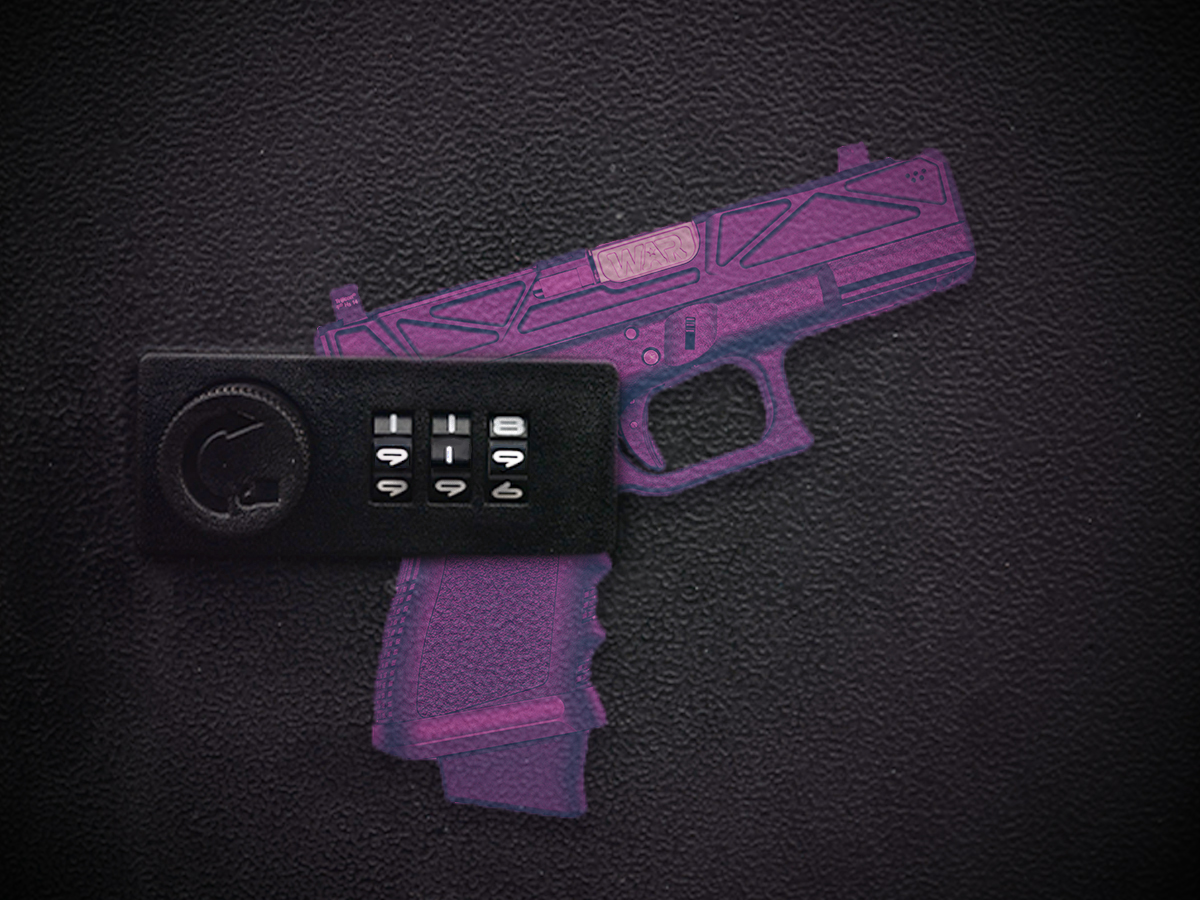 Gun Storage