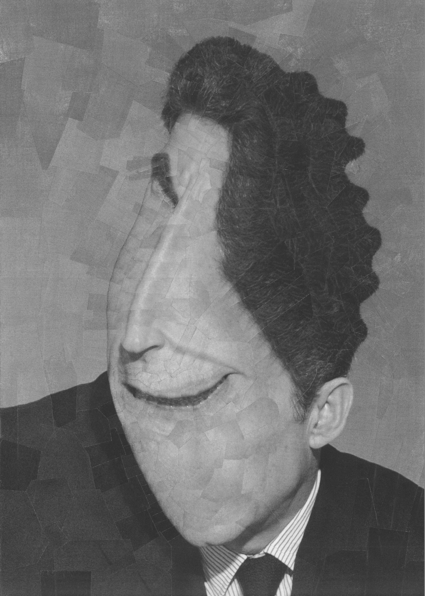 Sarkozy 1, 2011, 8.2 x 11.6 inches