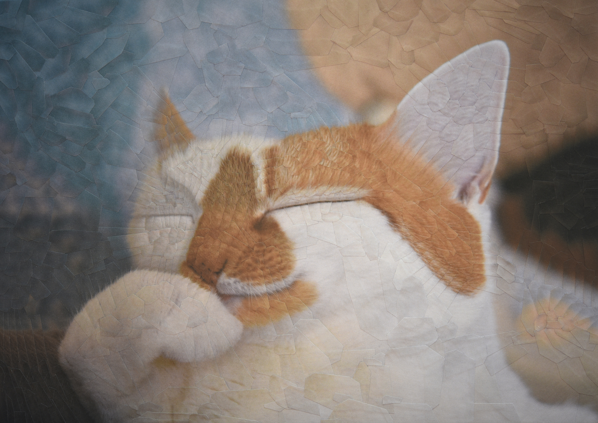 Charlie 30, 2020, 11.6 x 8.2 inches