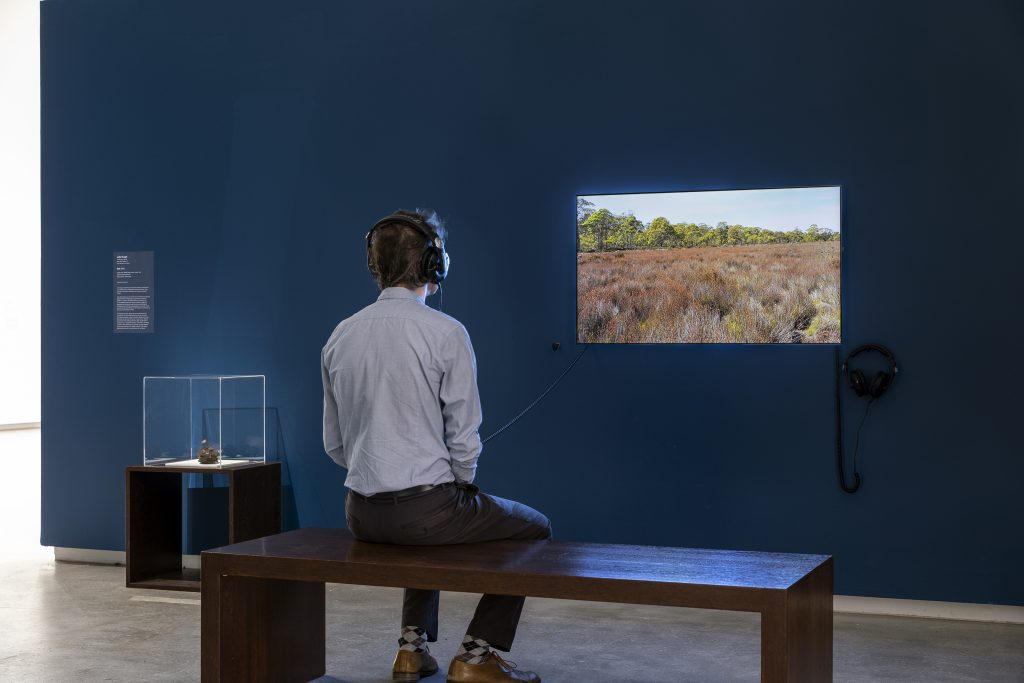 TarraWarra Biennial 2018: From Will to Form, installation view of Julie Gough, Ode, 2014, TarraWarra Museum of Art, 2018 Photo: Andrew Curtis Courtesy of the artist.
