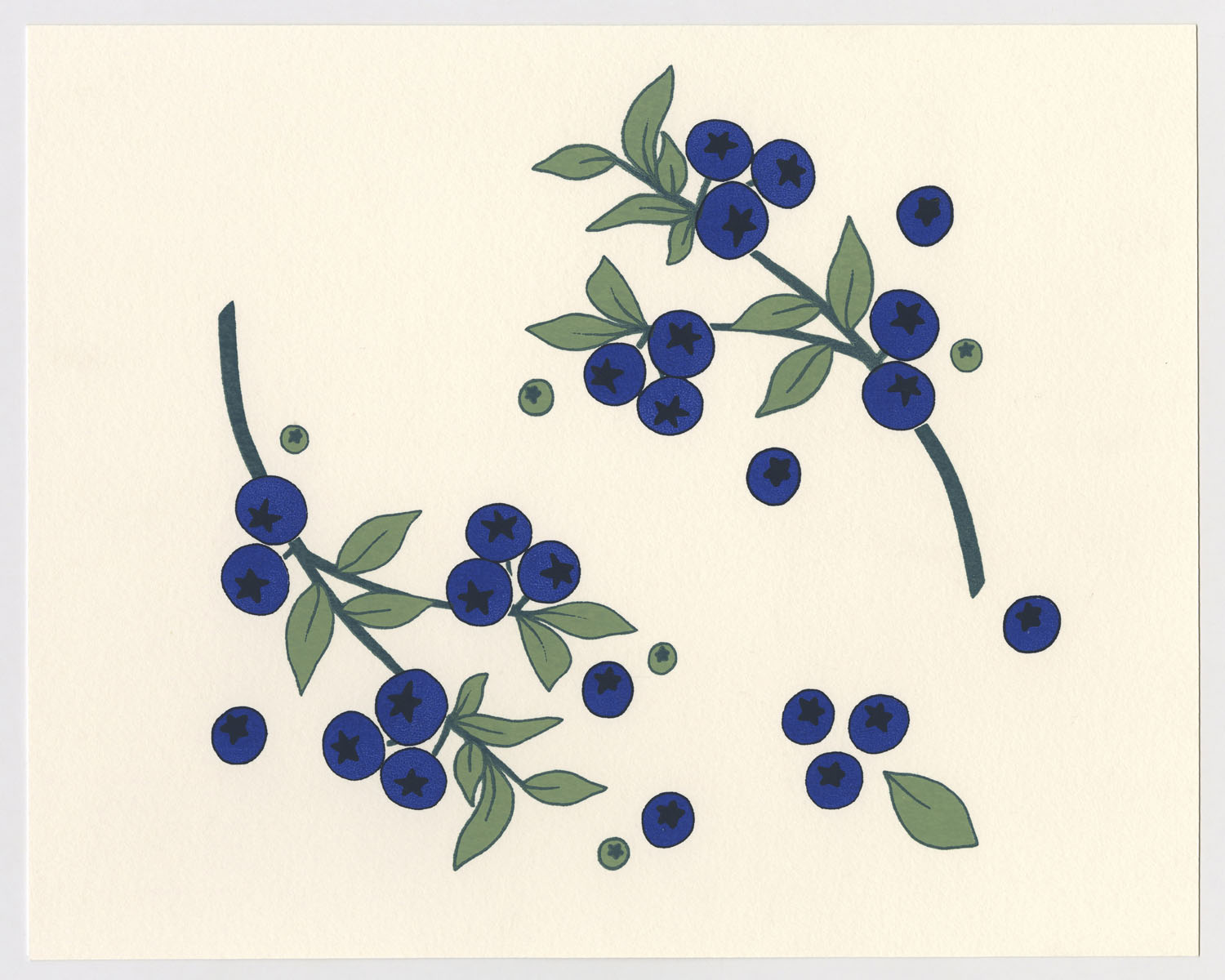 Blueberry2022, Screen print on Canson Colorline, 8x10&rdquo;