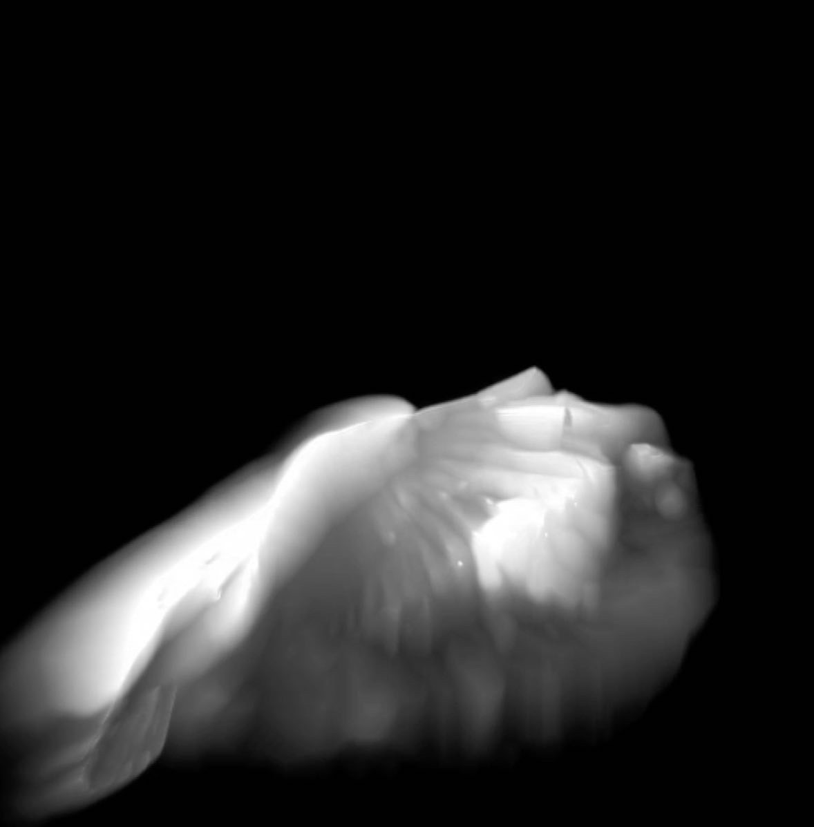 PLUMESGenerated video, 2022