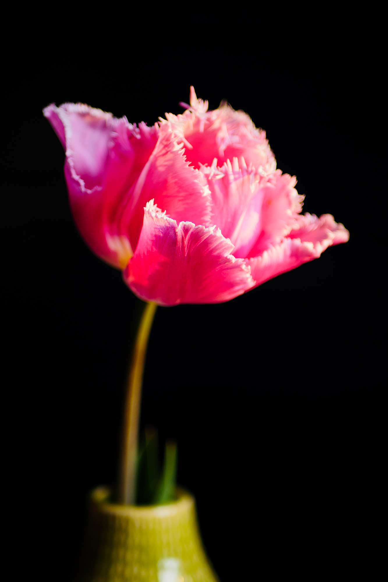 There Are Always Flowers