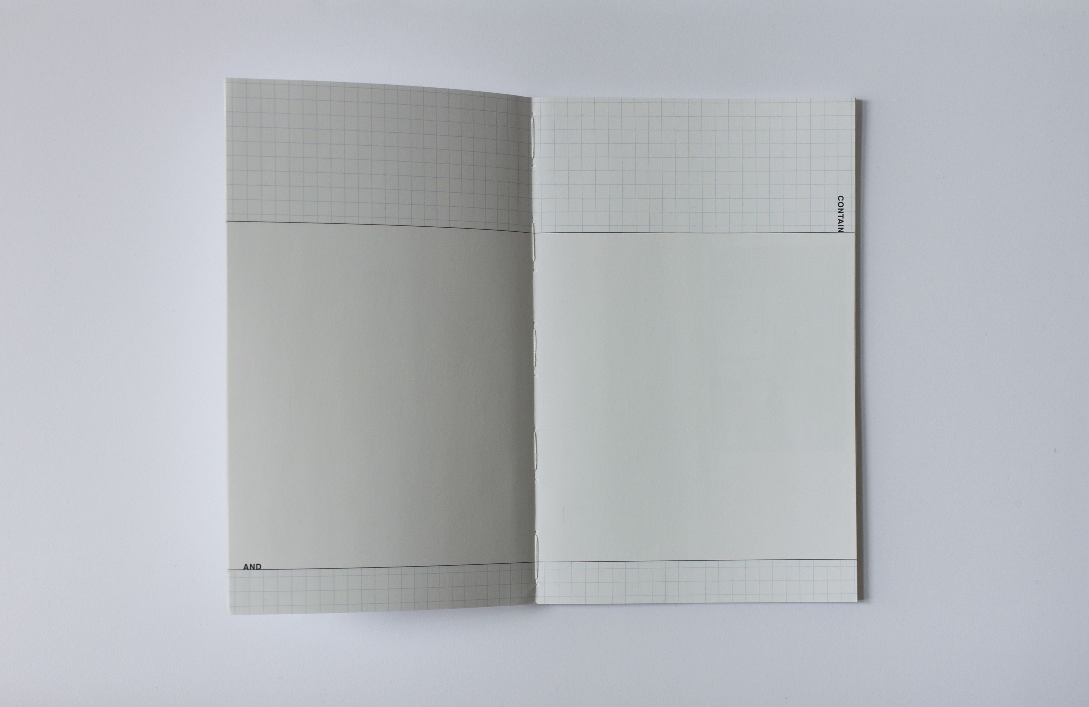 alt="Peter Downsbrough or book spread"