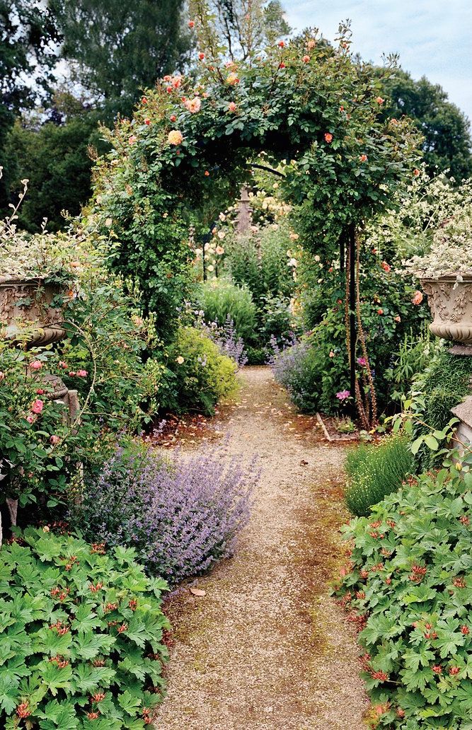 casa dries van noten