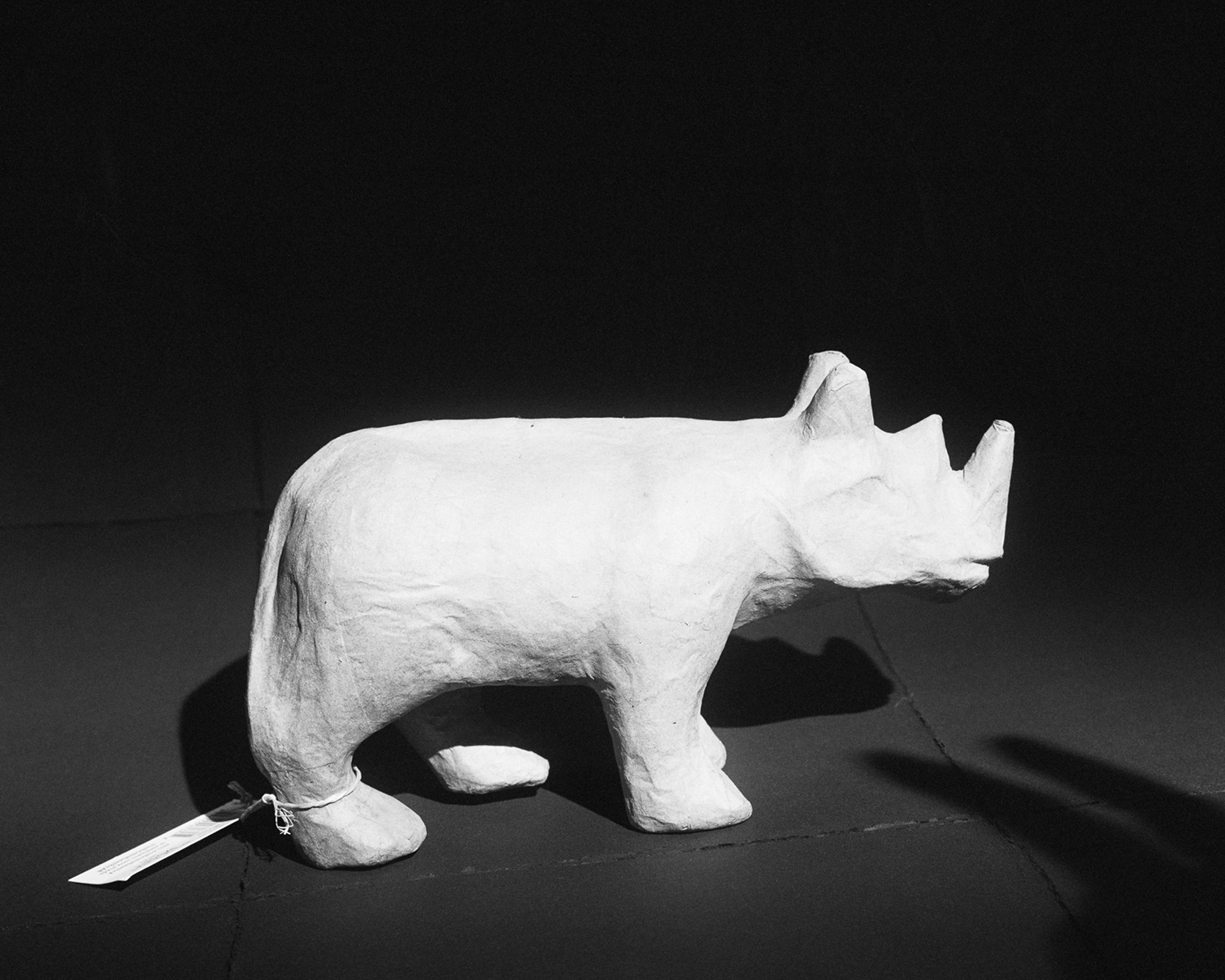 A Rhino Labeled Gay (ongoing)