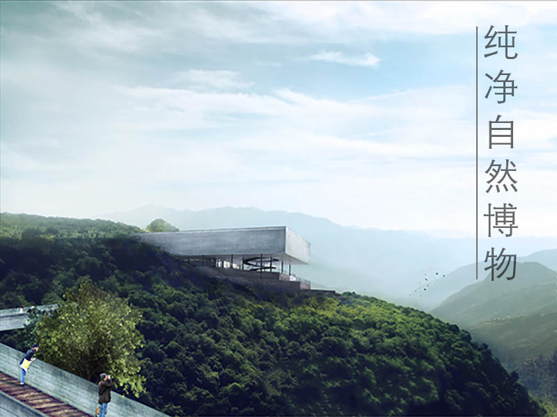纯净自然博物馆三年级