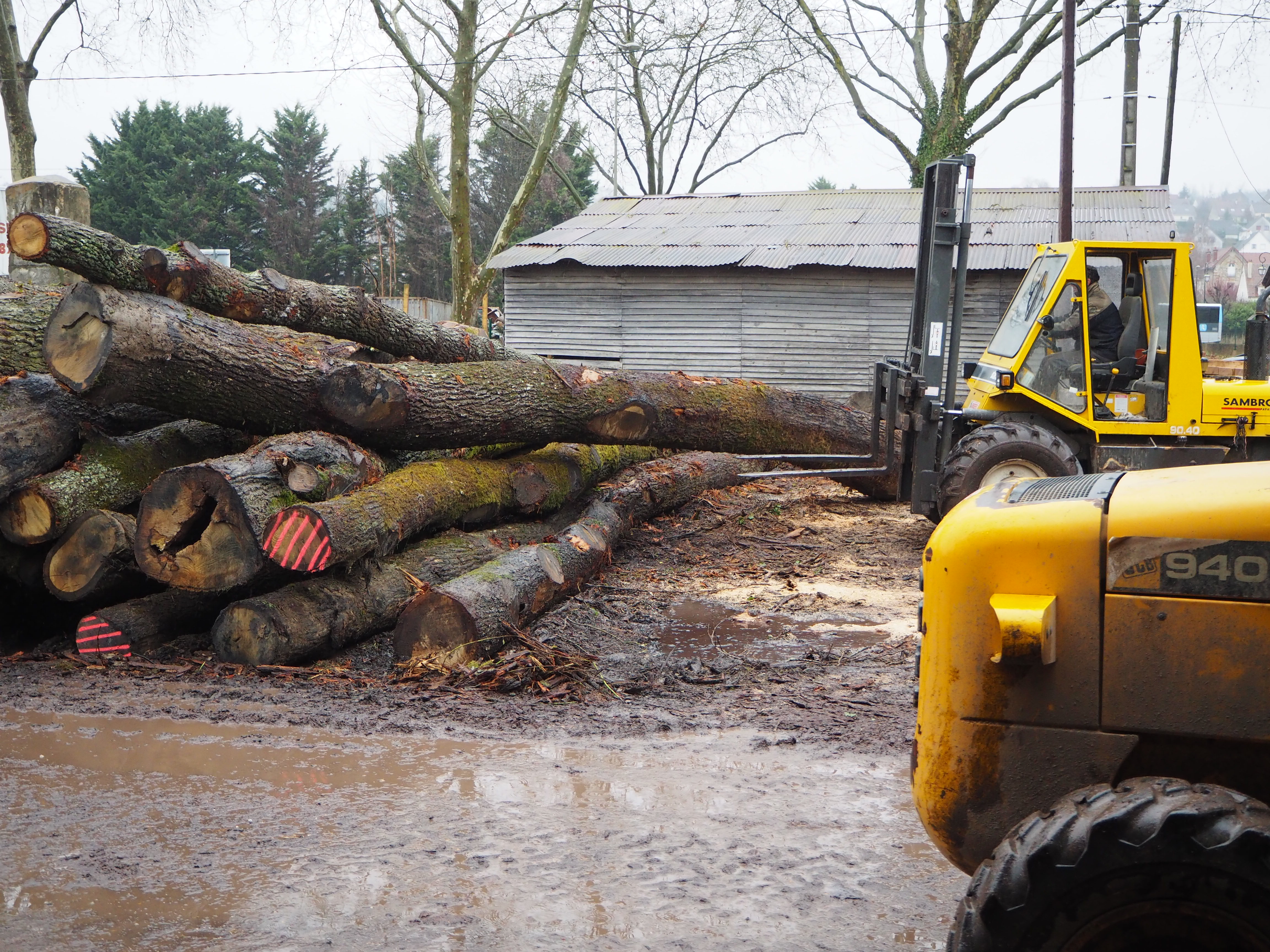 Une grume est sélectionnée en fonction de la commande, selon des critères de diamètre, de qualité, etc. 