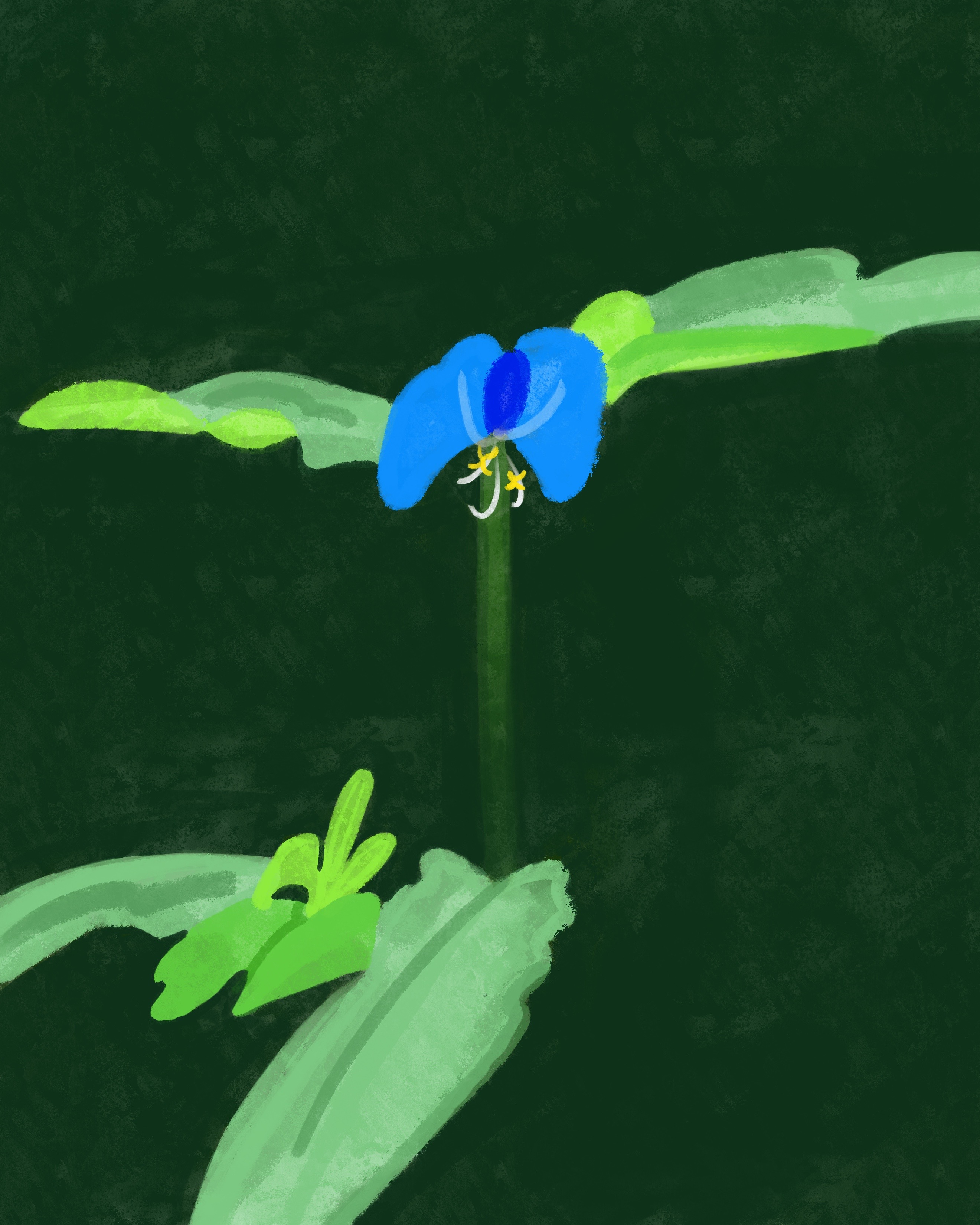 Untitled, iPad drawing, 2020