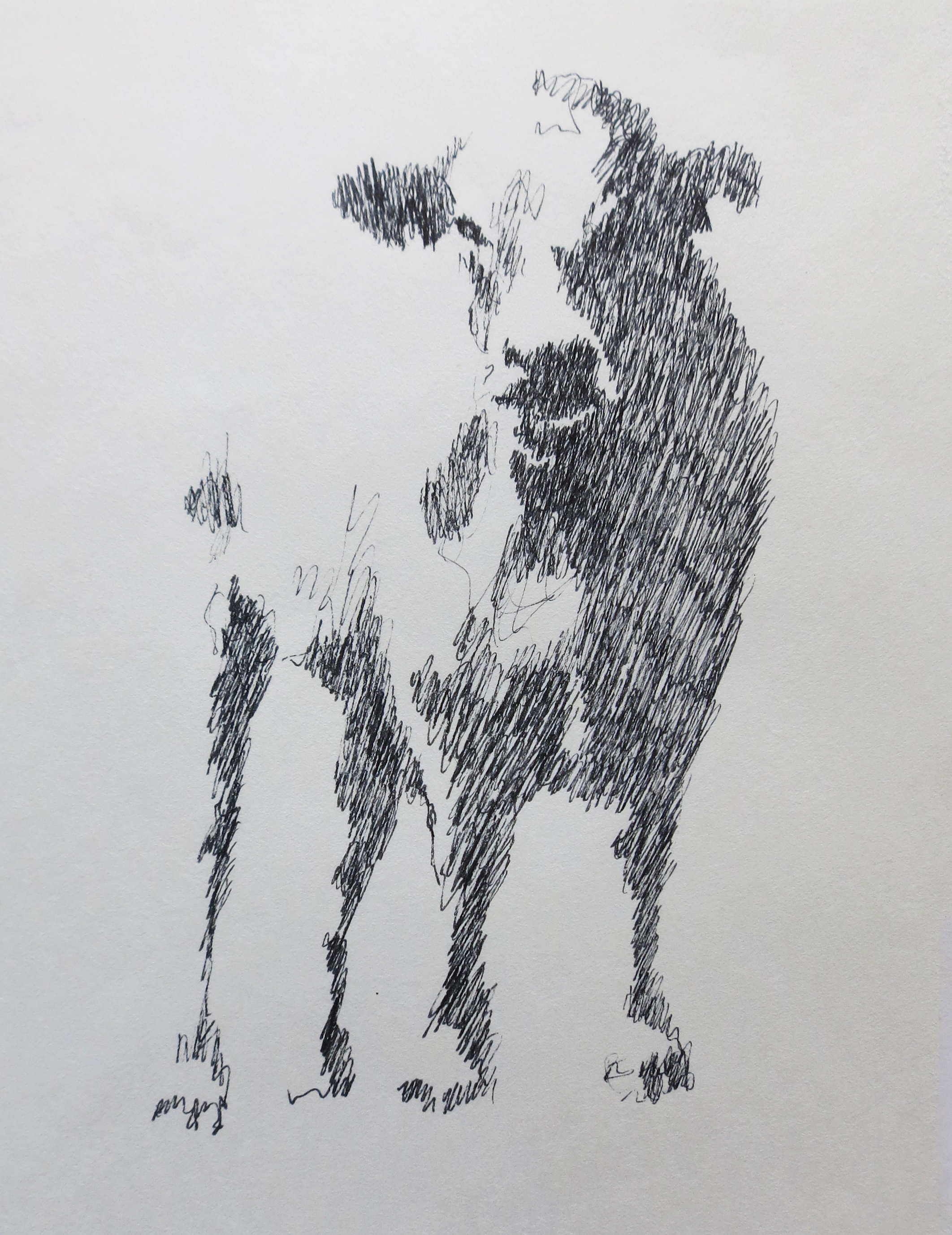  Ink on paper &ndash; 11&rdquo; x 8&rdquo; 