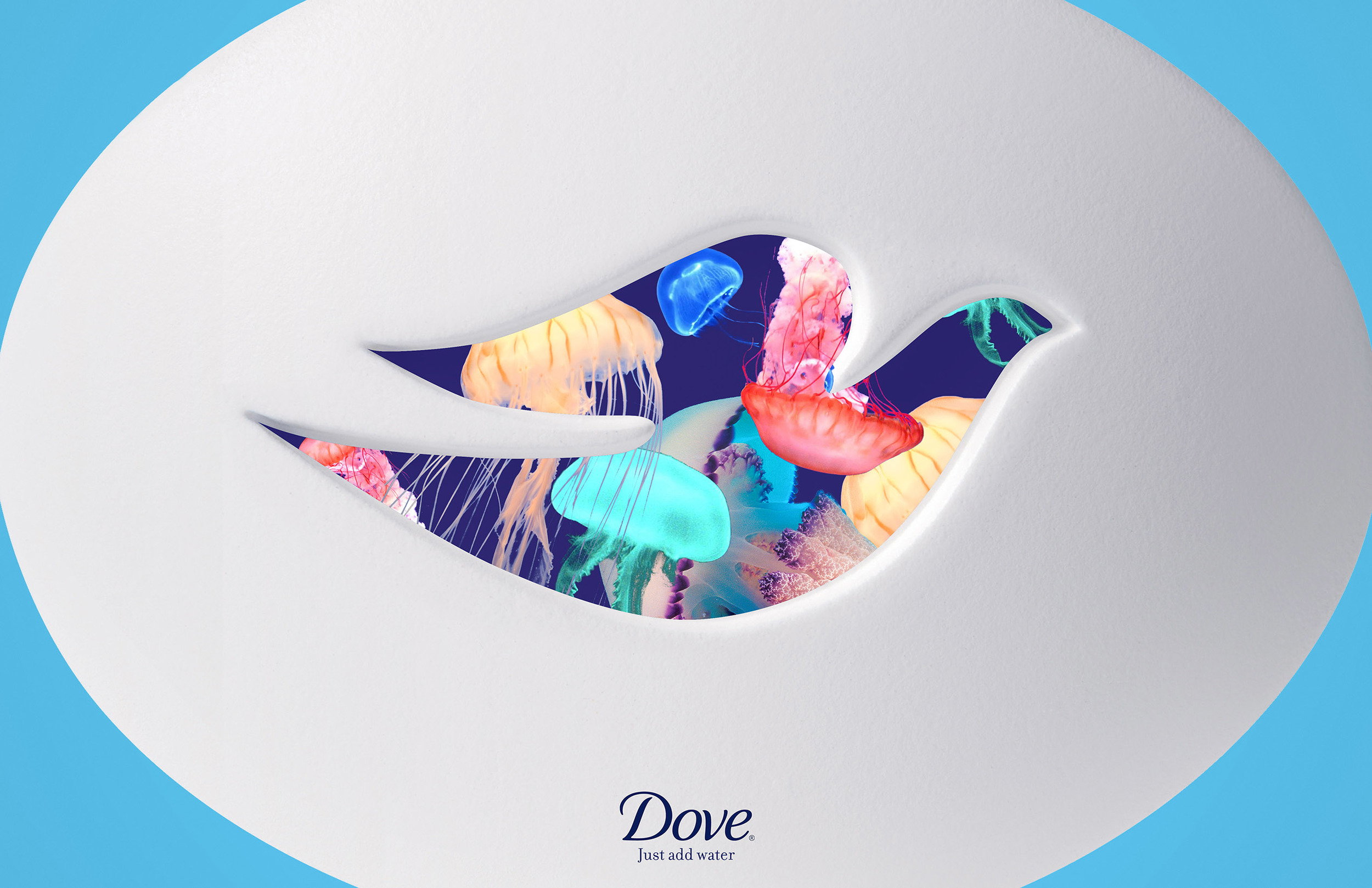 DOVE