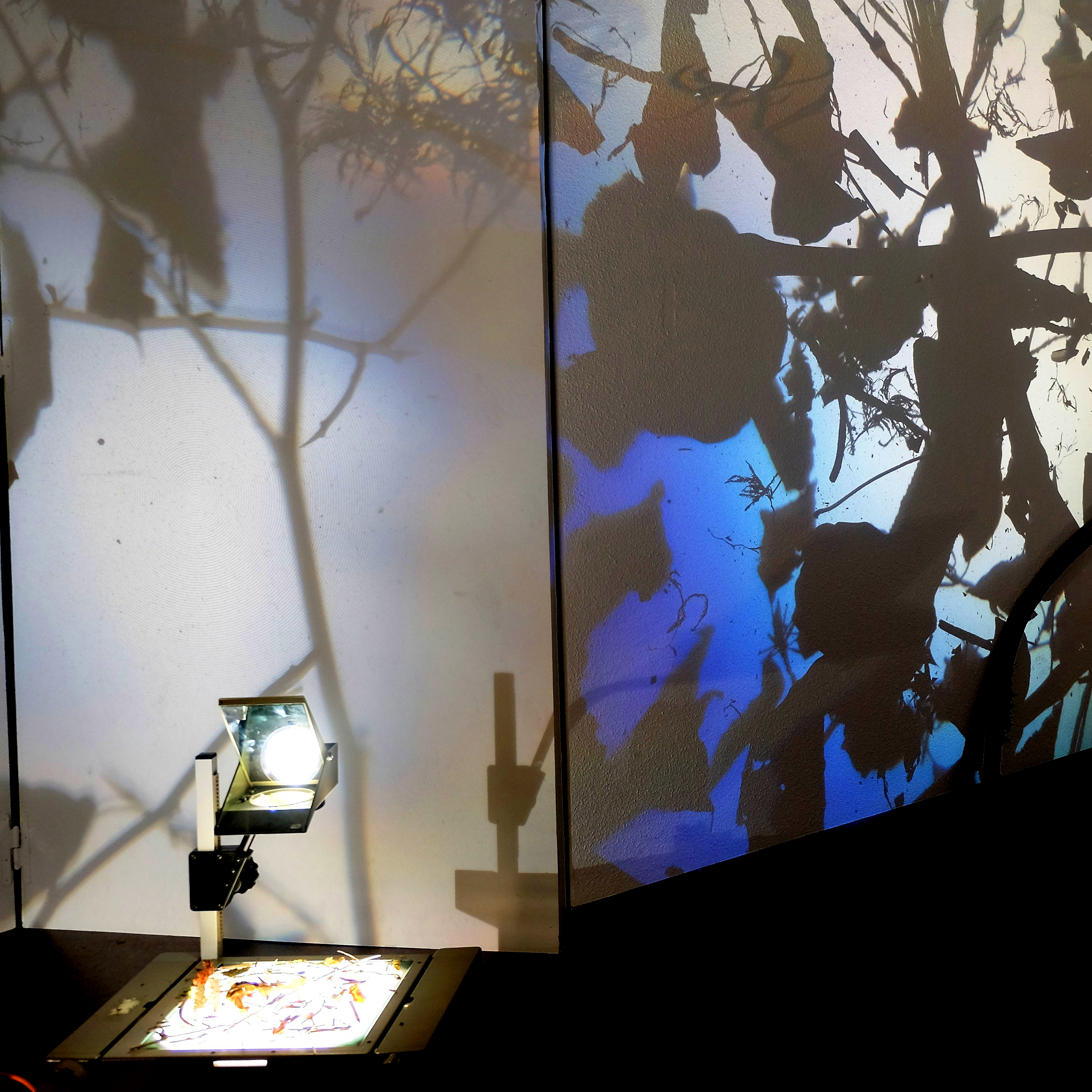 ateliers de création sonore