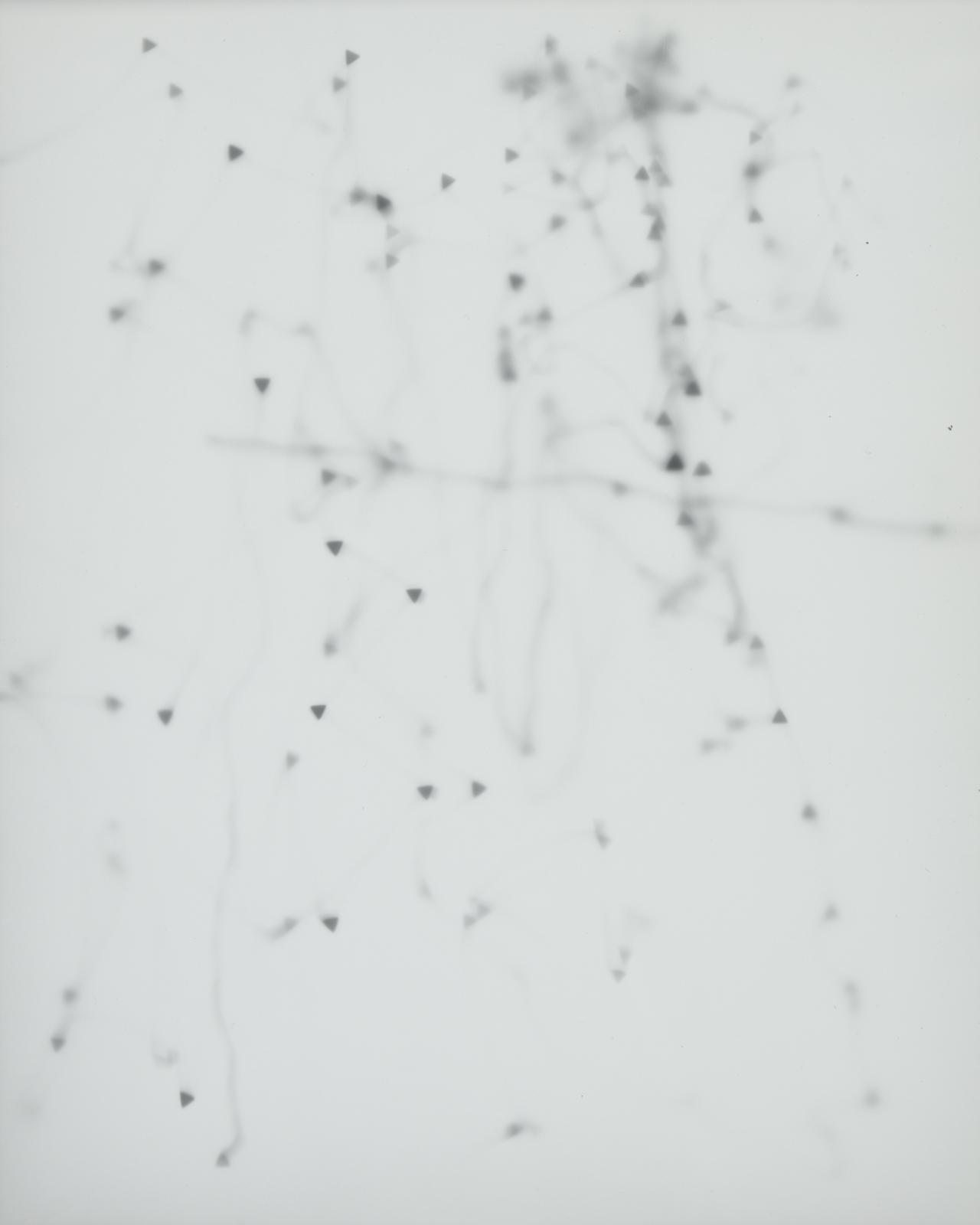 untitled (thermostat), 2017