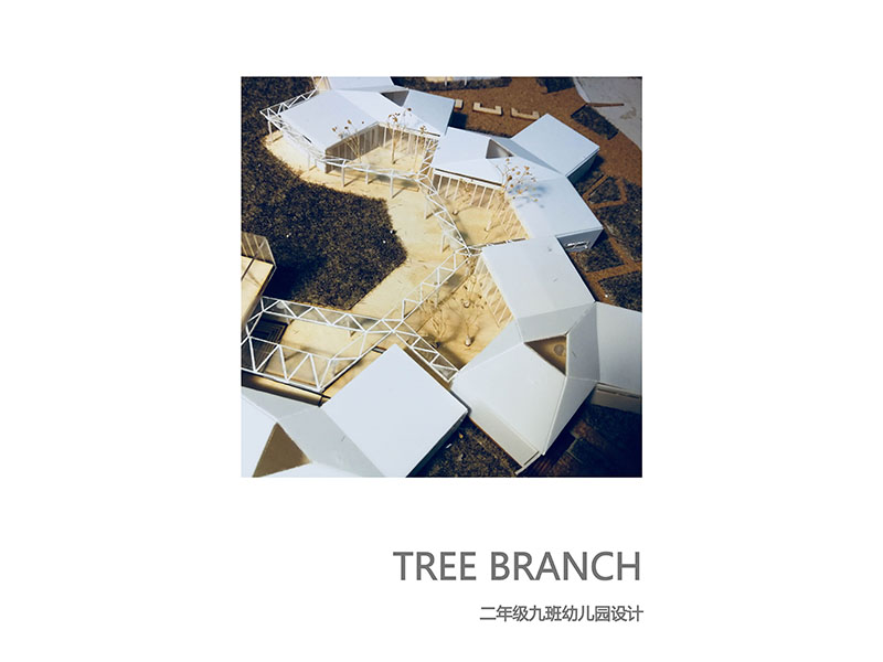 TREE BRANCH KINDERGARTEN二年级