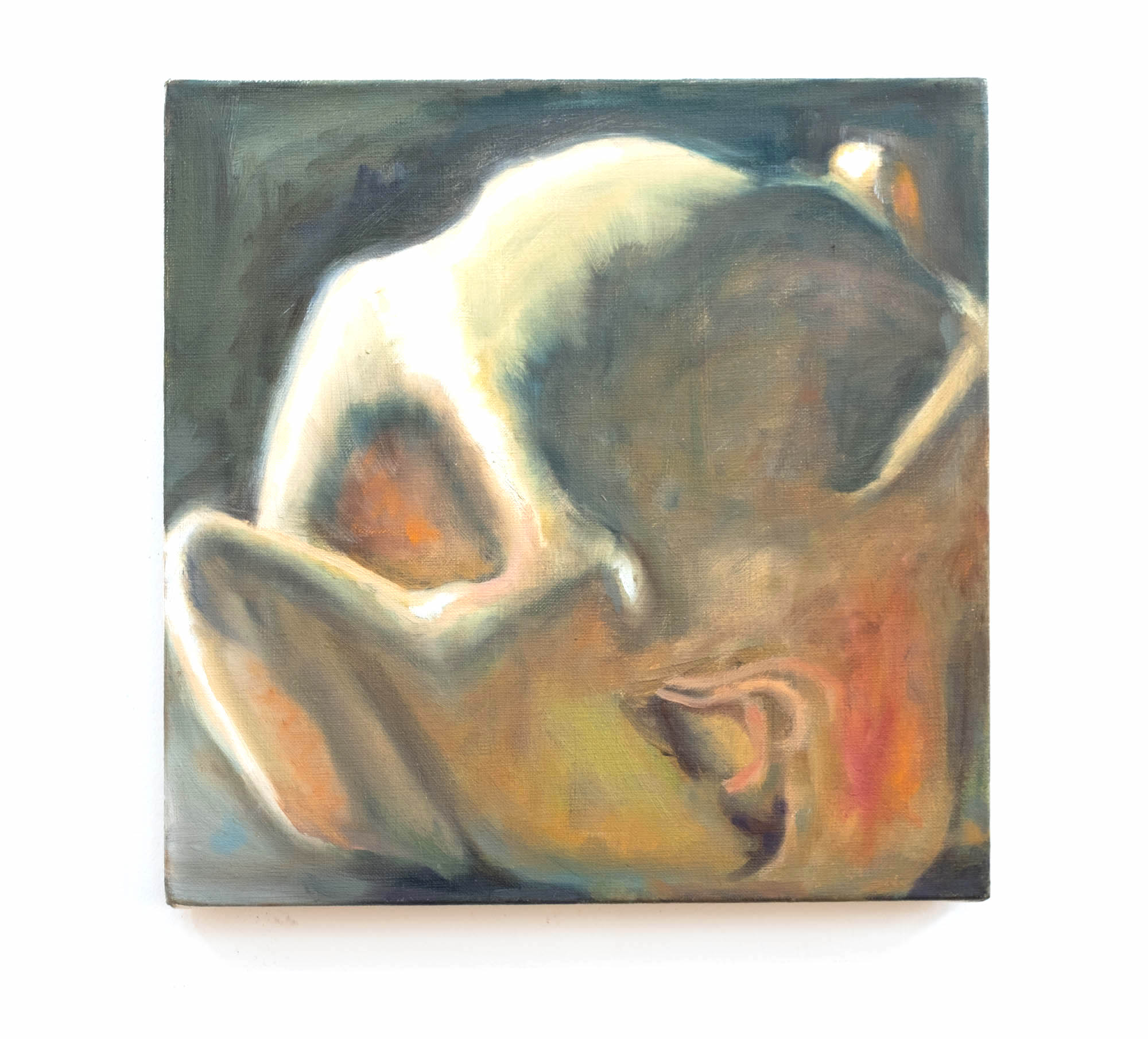 Untitled (from the Chicken Series), oil on linen, 12 x 12 inches, 2014