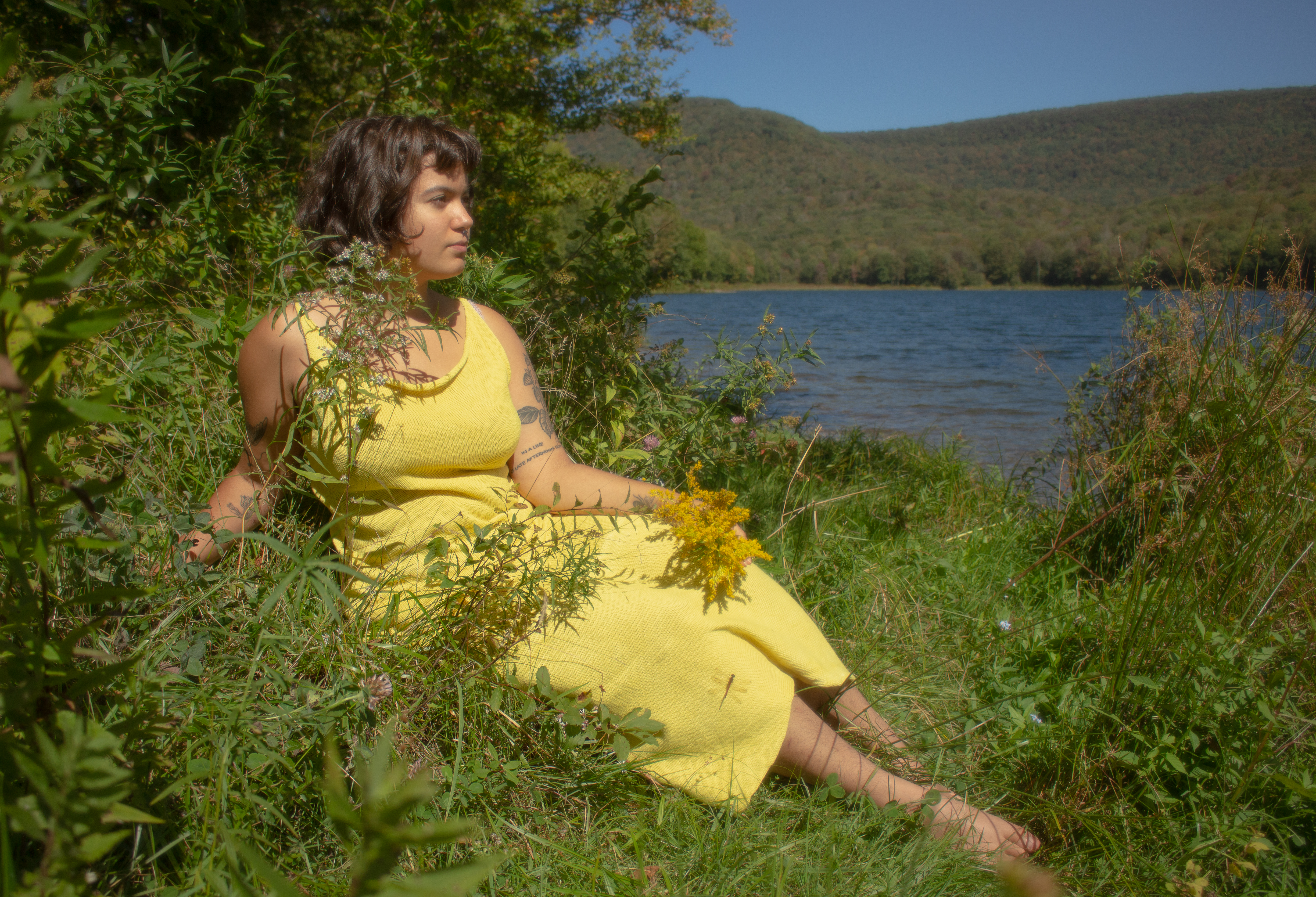 Goldenrod Dress, cotton and goldenrod, 2023, photo by Caroline Bridges