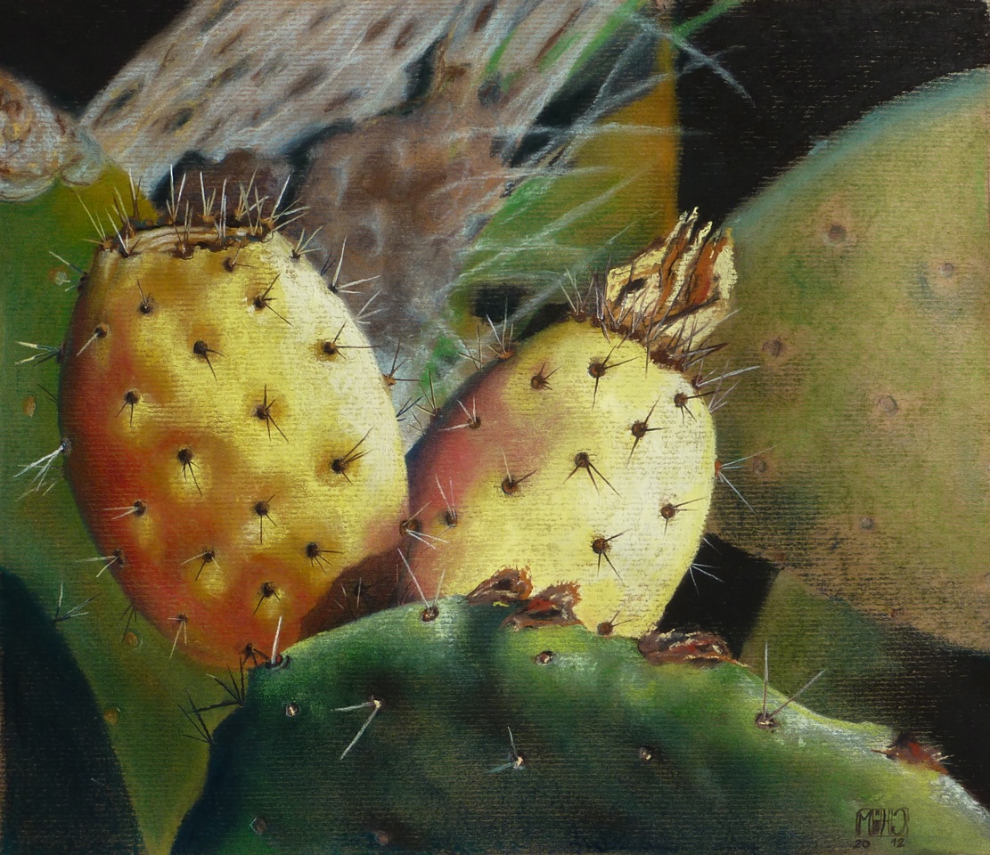 78–Feigenkaktus Nr.341×36 cmPastellkreide auf Packpapier2012sold