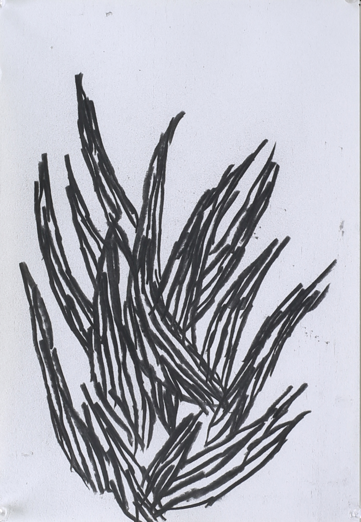 뿔horn_charcoal on paper_29x21cm_2014