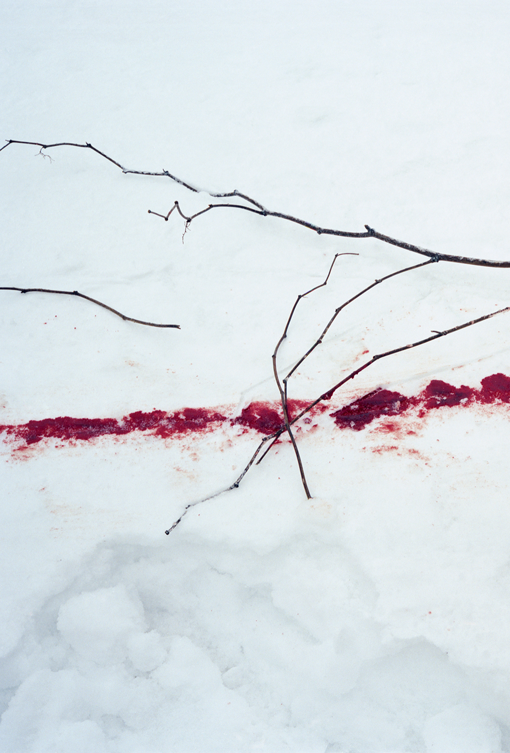Takashi Homma, Trails from the series Trails, 2009, cm58,4x41,4, Stampa C type